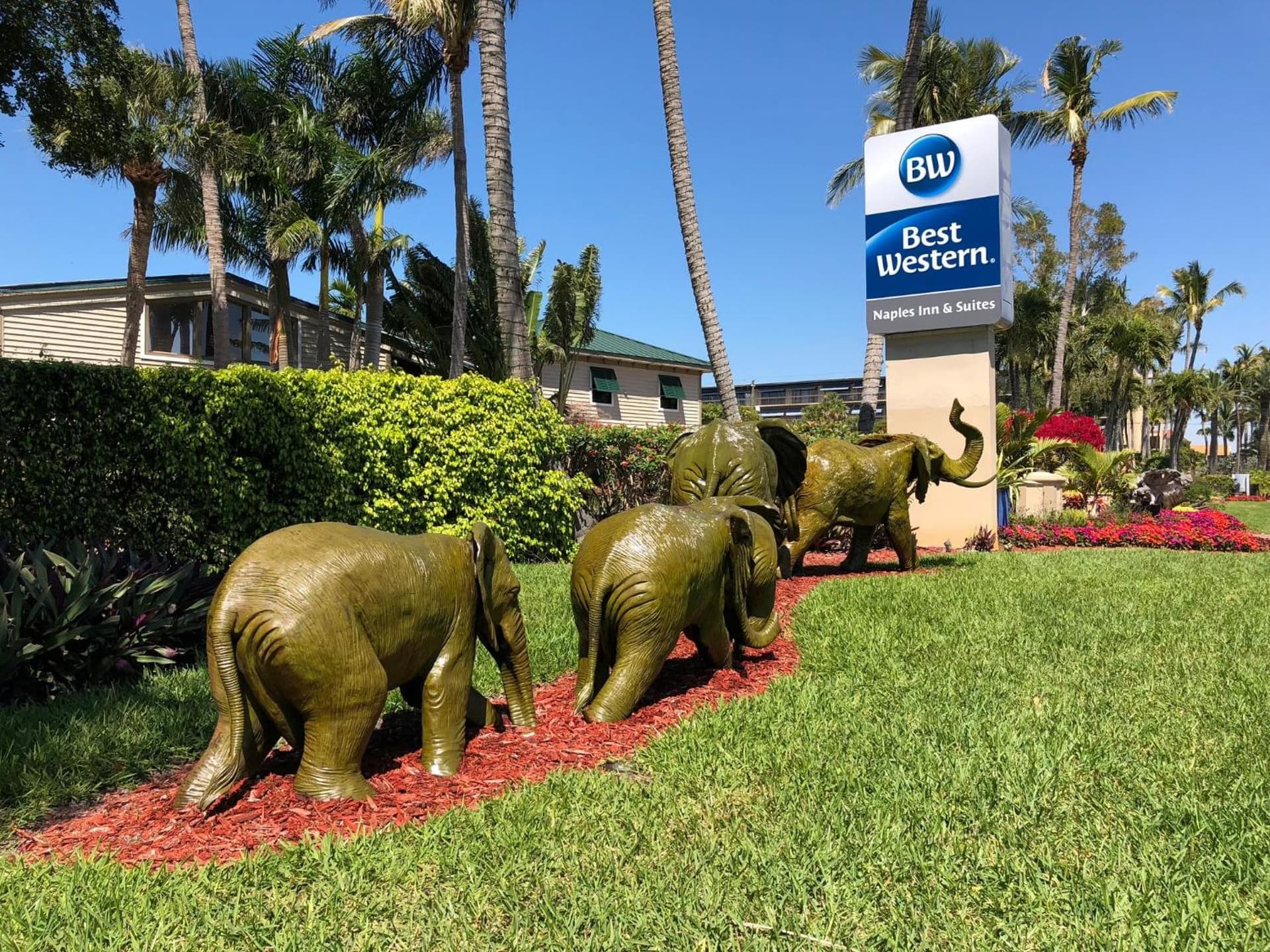 Best Western Naples Inn & Suites gallery photo in Naples, FL — image 28