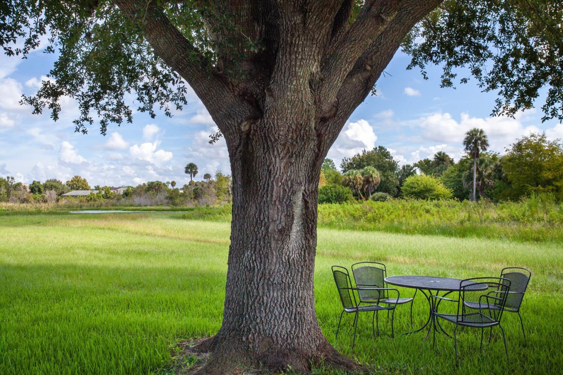 Travelodge by Wyndham Deltona gallery photo in Deltona, FL — image 5