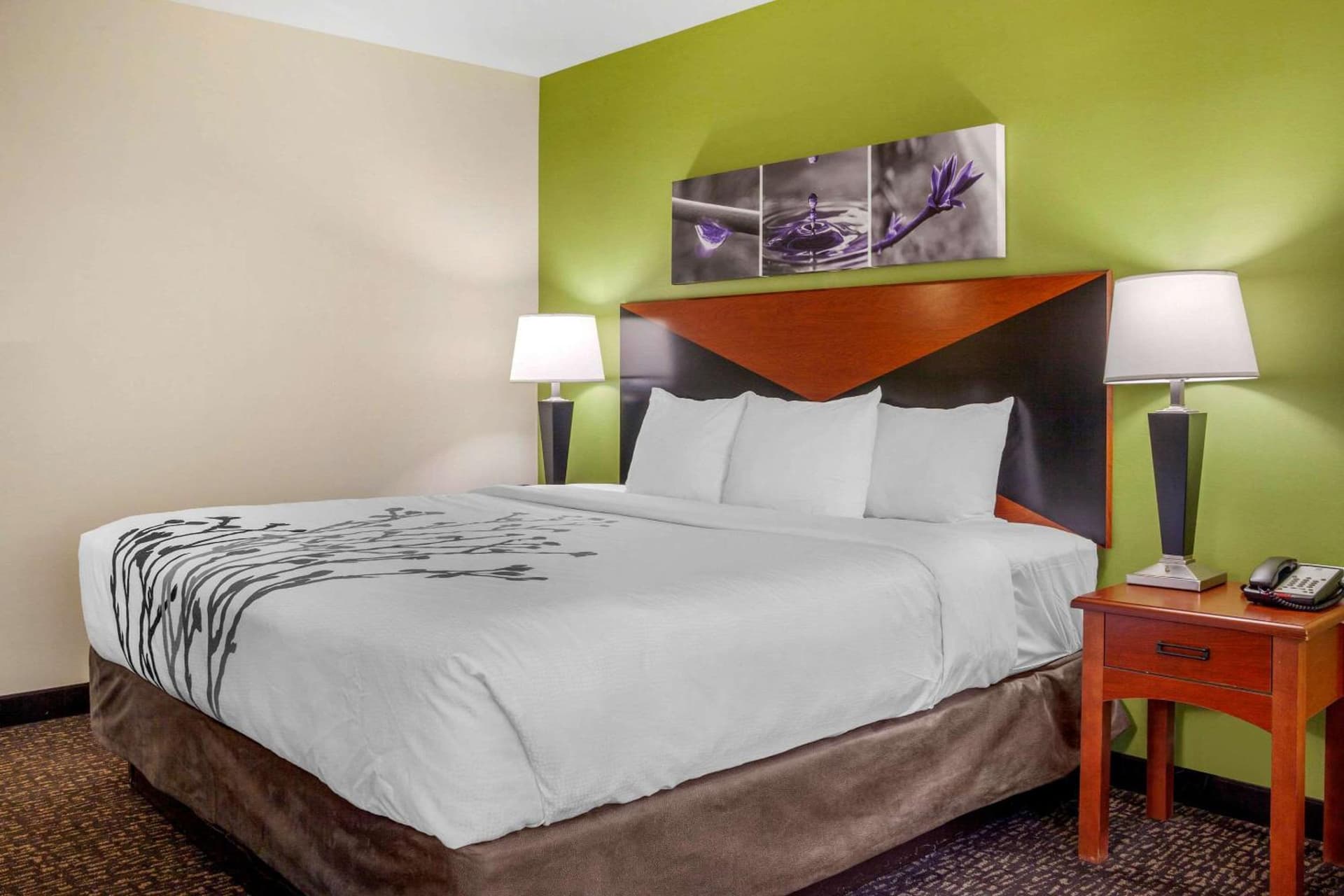 Sleep Inn & Suites Milwaukee Airport property views in Milwaukee, WI — gallery photo 3