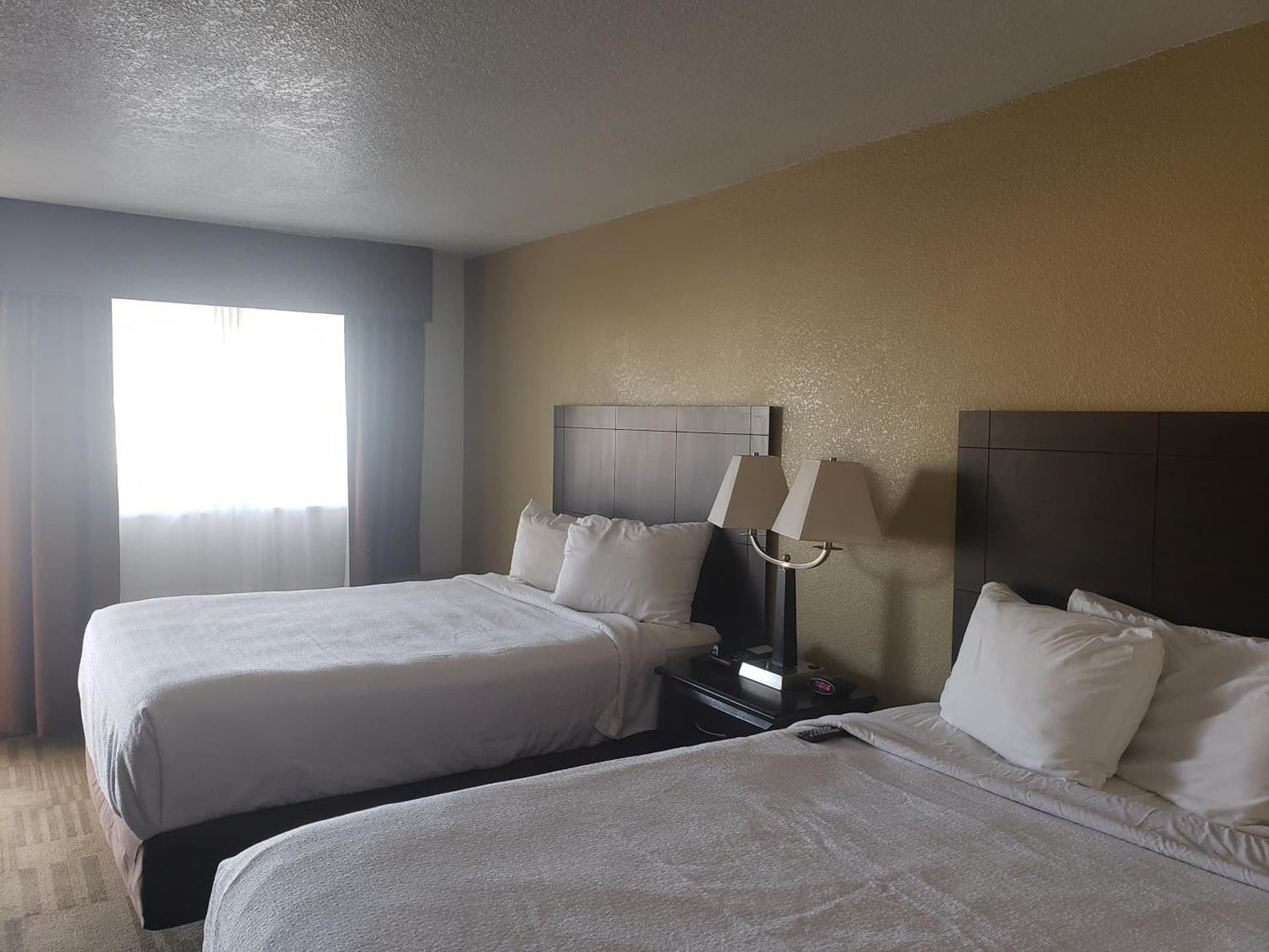 Grand Texan Hotel and Convention Center gallery photo in Midland, TX — image 5