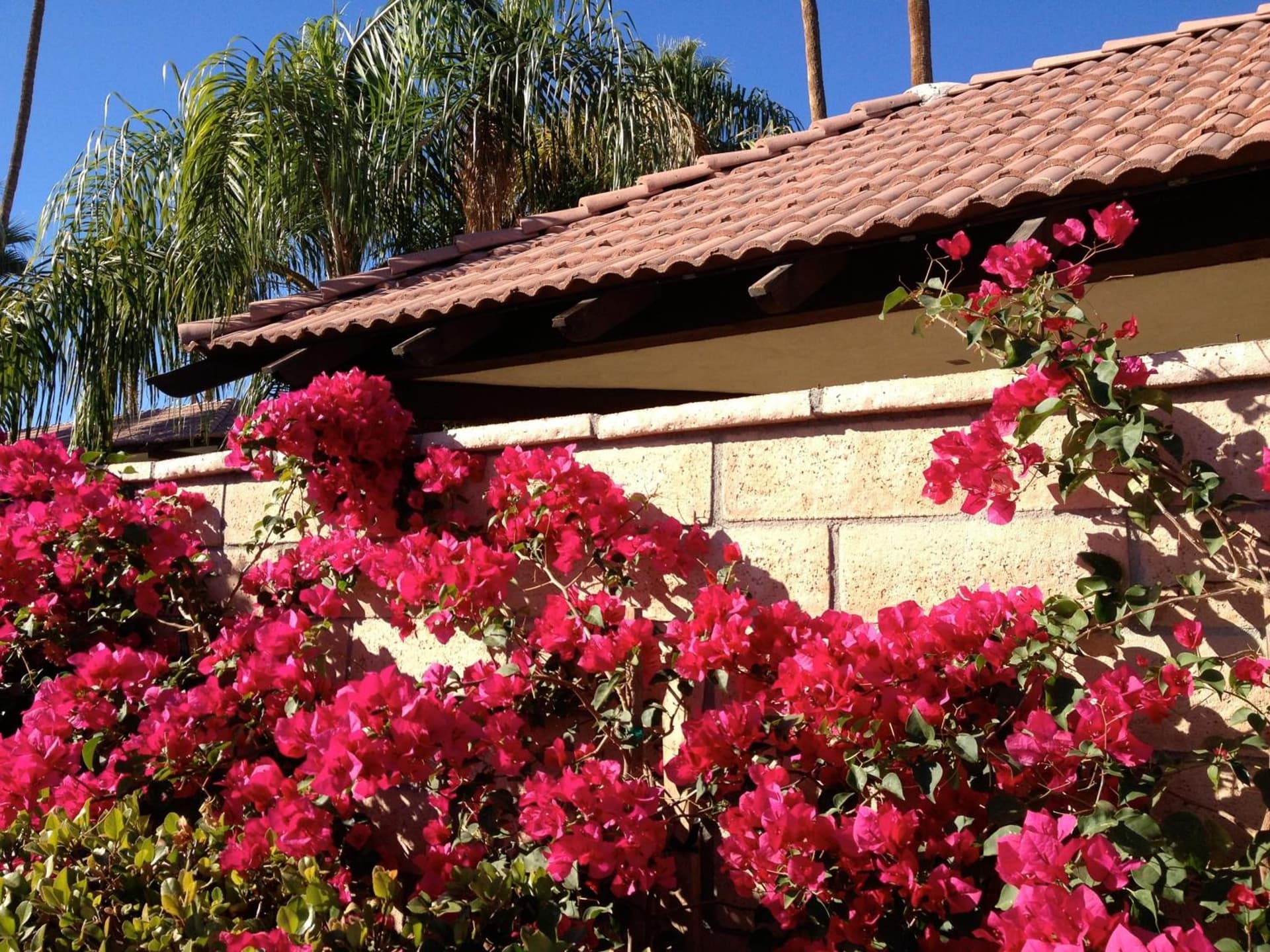 La Maison Hotel - Adults Only gallery photo in Palm Springs, CA — image 20