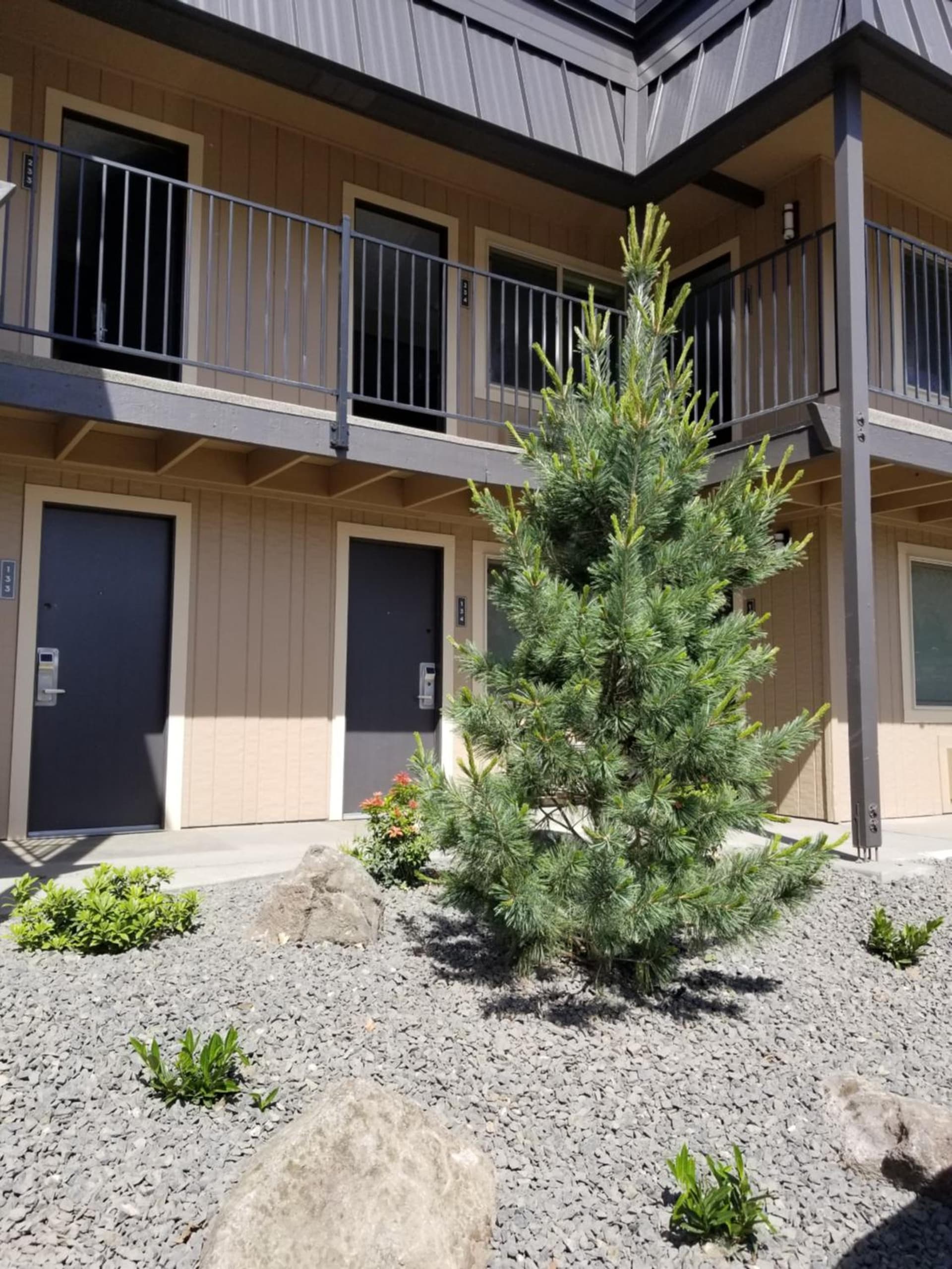 The Hotel Y, a Dazzler Select by Wyndham gallery photo in Yakima, WA — image 22
