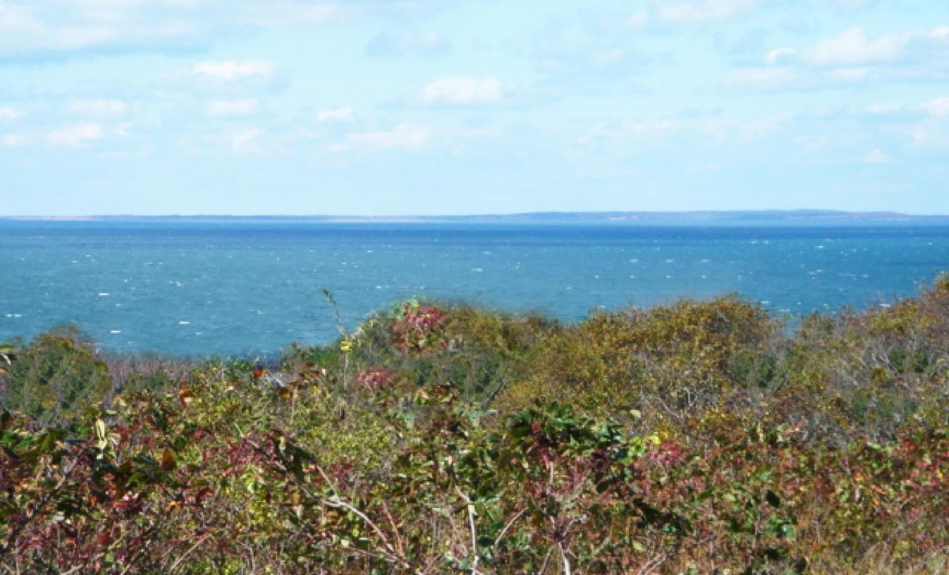 Montauk Manor gallery photo in Montauk, NY — image 7