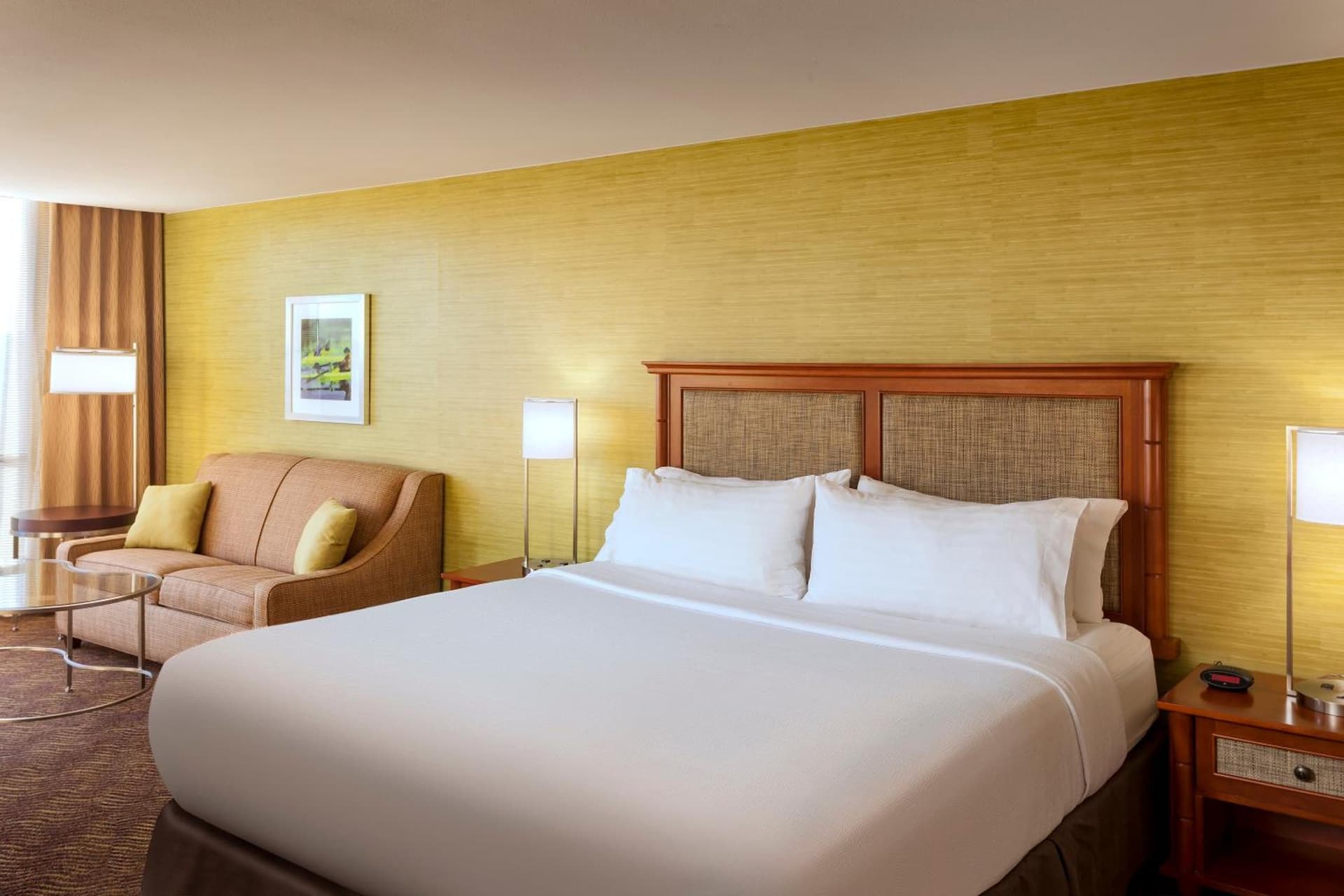 Holiday Inn Austin -Town Lake by IHG gallery photo in Austin, TX — image 19