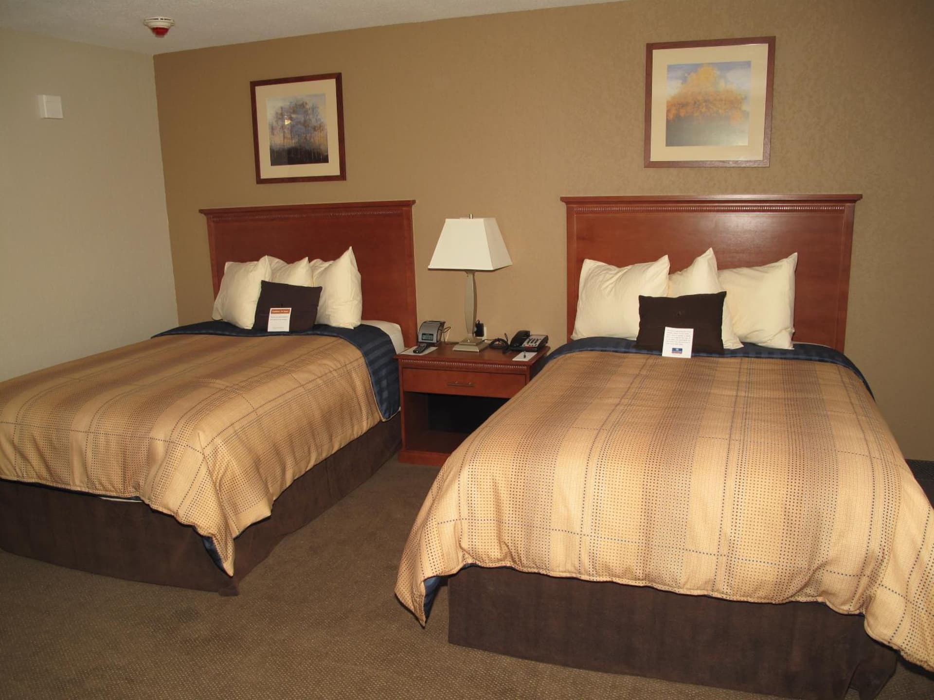 Candlewood Suites Elgin – Northwest Chicago by IHG gallery photo in Elgin, IL — image 5