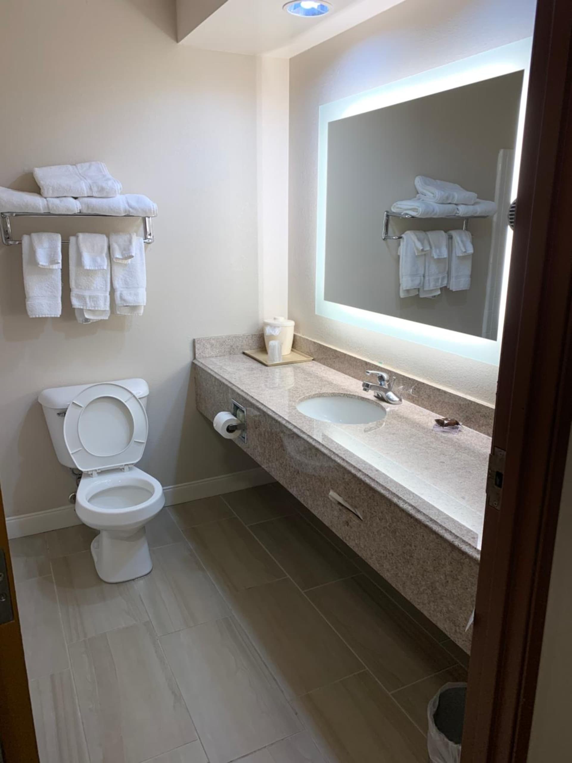 Wingate by Wyndham Brighton gallery photo in Brighton, MI — image 42