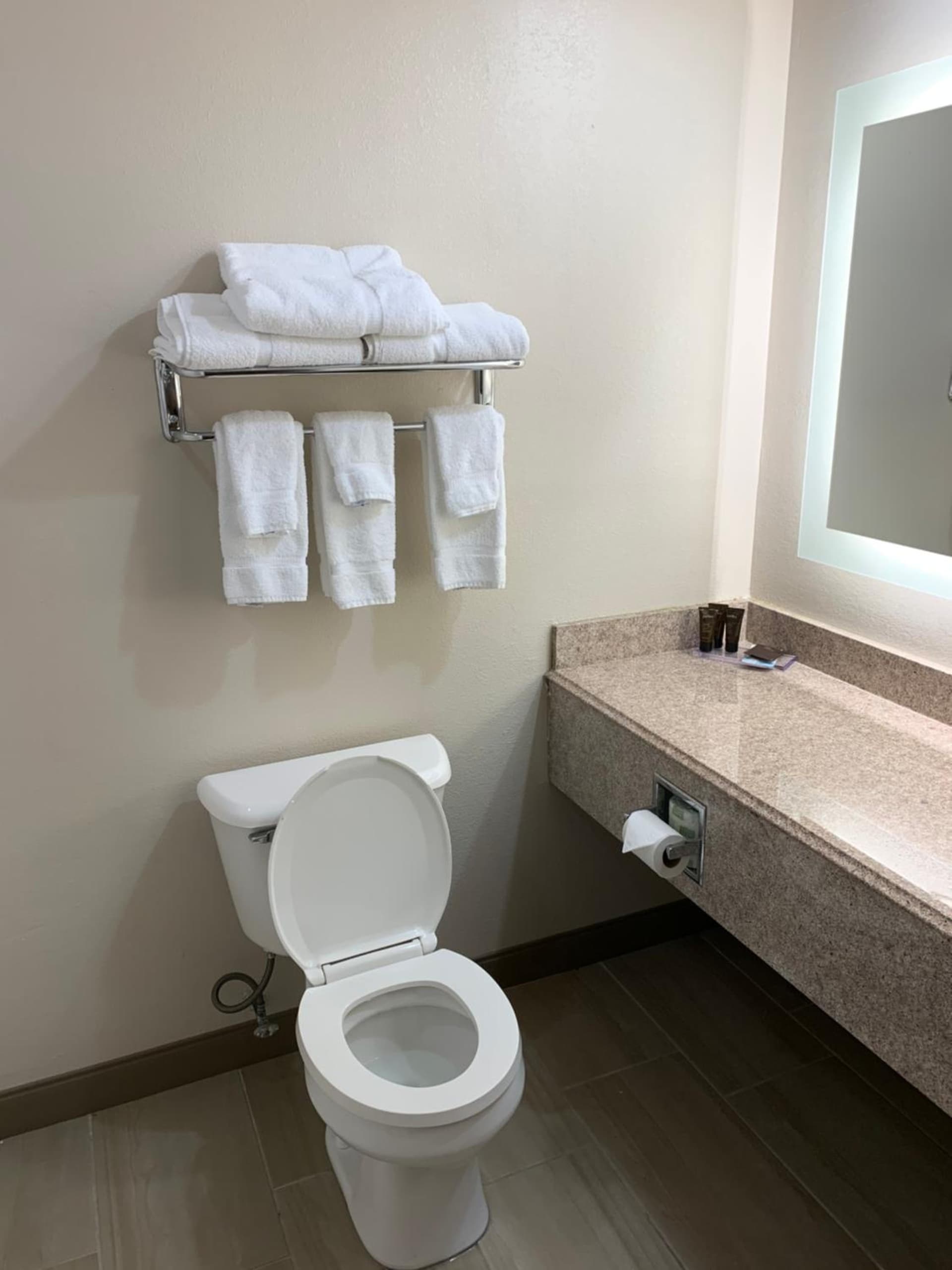 Wingate by Wyndham Brighton gallery photo in Brighton, MI — image 27