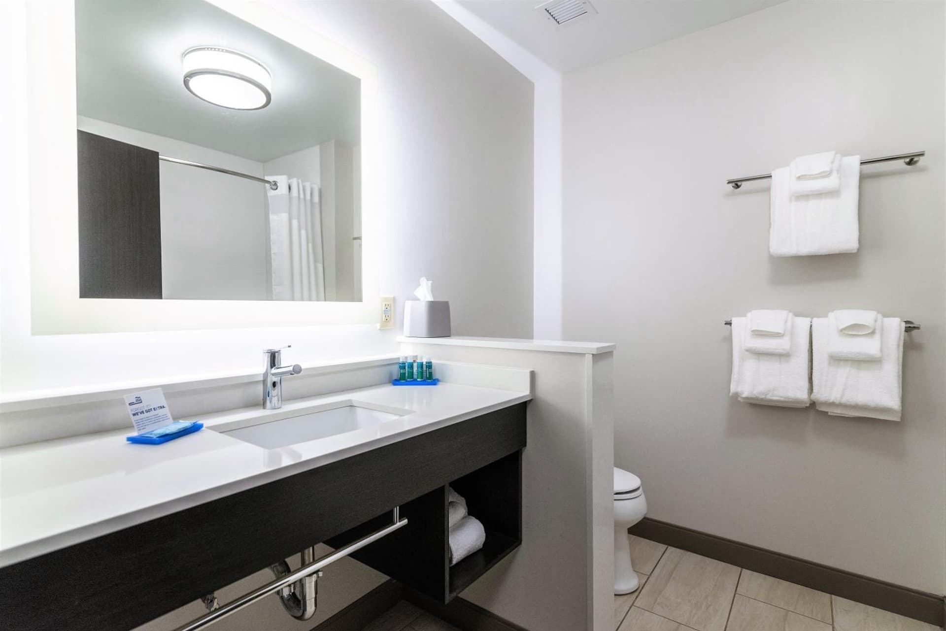 Holiday Inn Express & Suites Allen Park by IHG gallery photo in Allen Park, MI — image 16