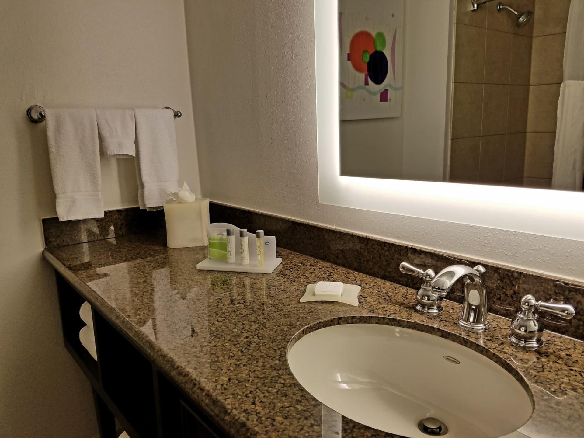 Holiday Inn Irving Las Colinas by IHG property views in Irving, TX — gallery photo 3