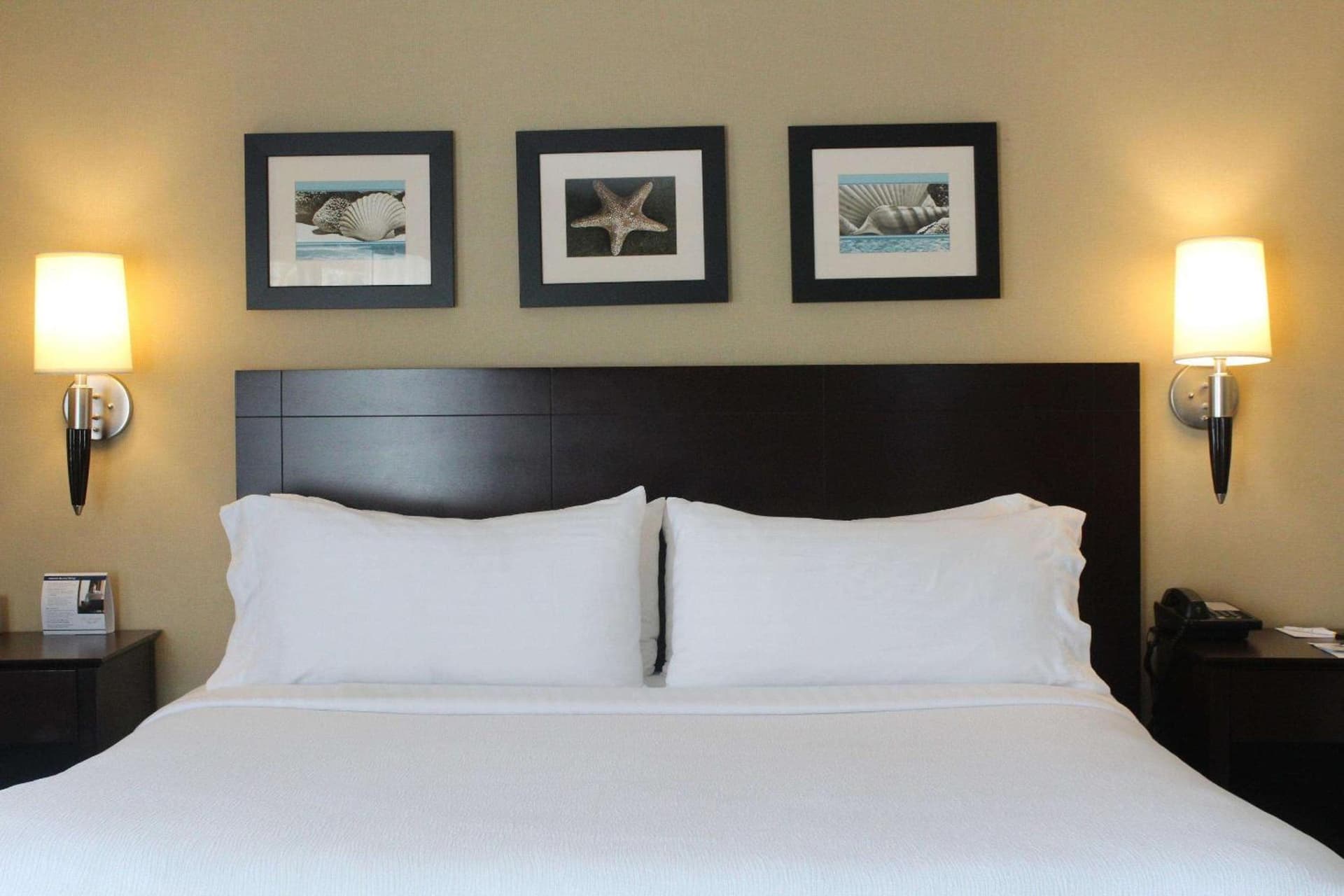The Volare, an Ascend Collection Hotel gallery photo in San Clemente, CA — image 71