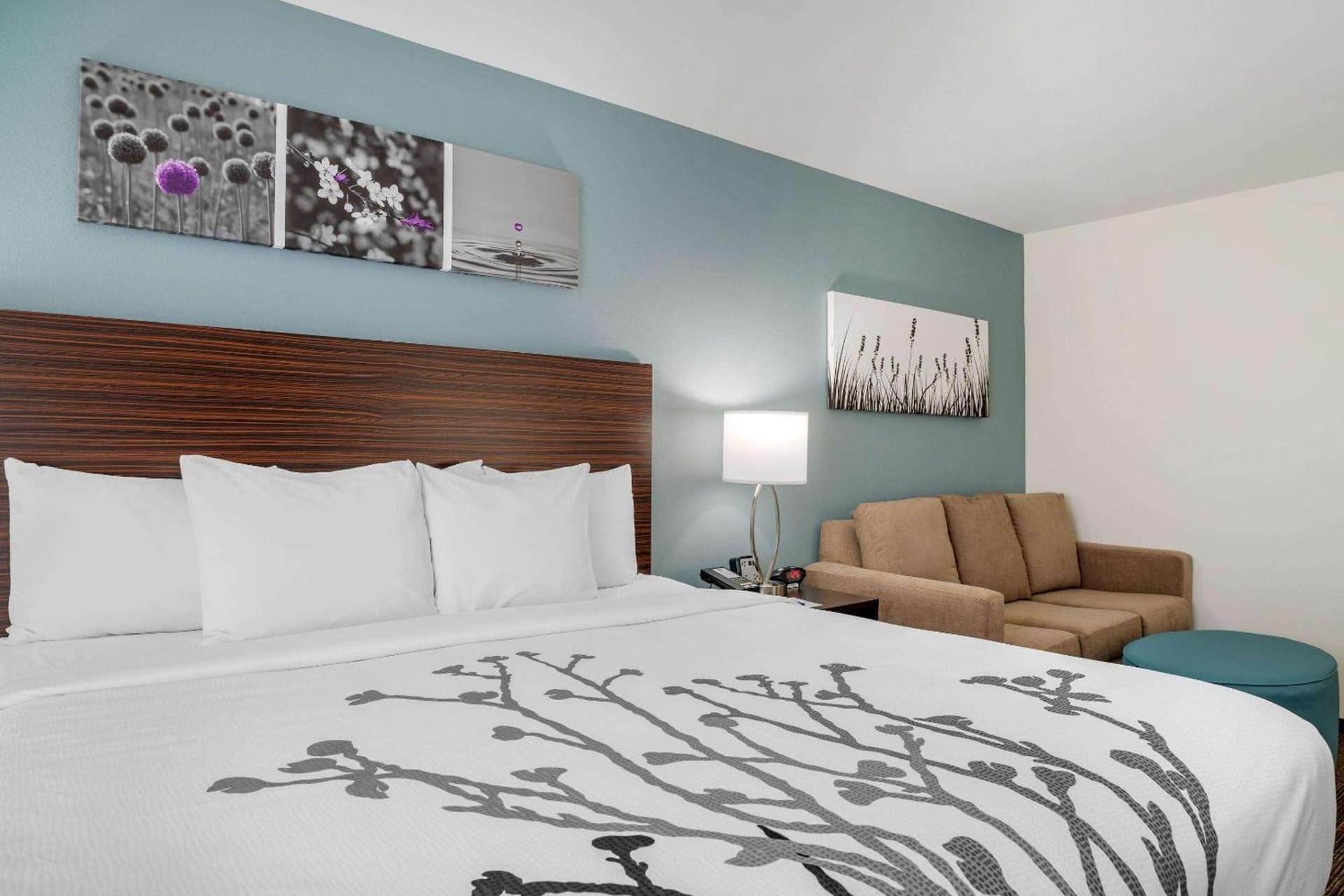 Sleep Inn & Suites near Westchase property views in Houston, TX — gallery photo 3