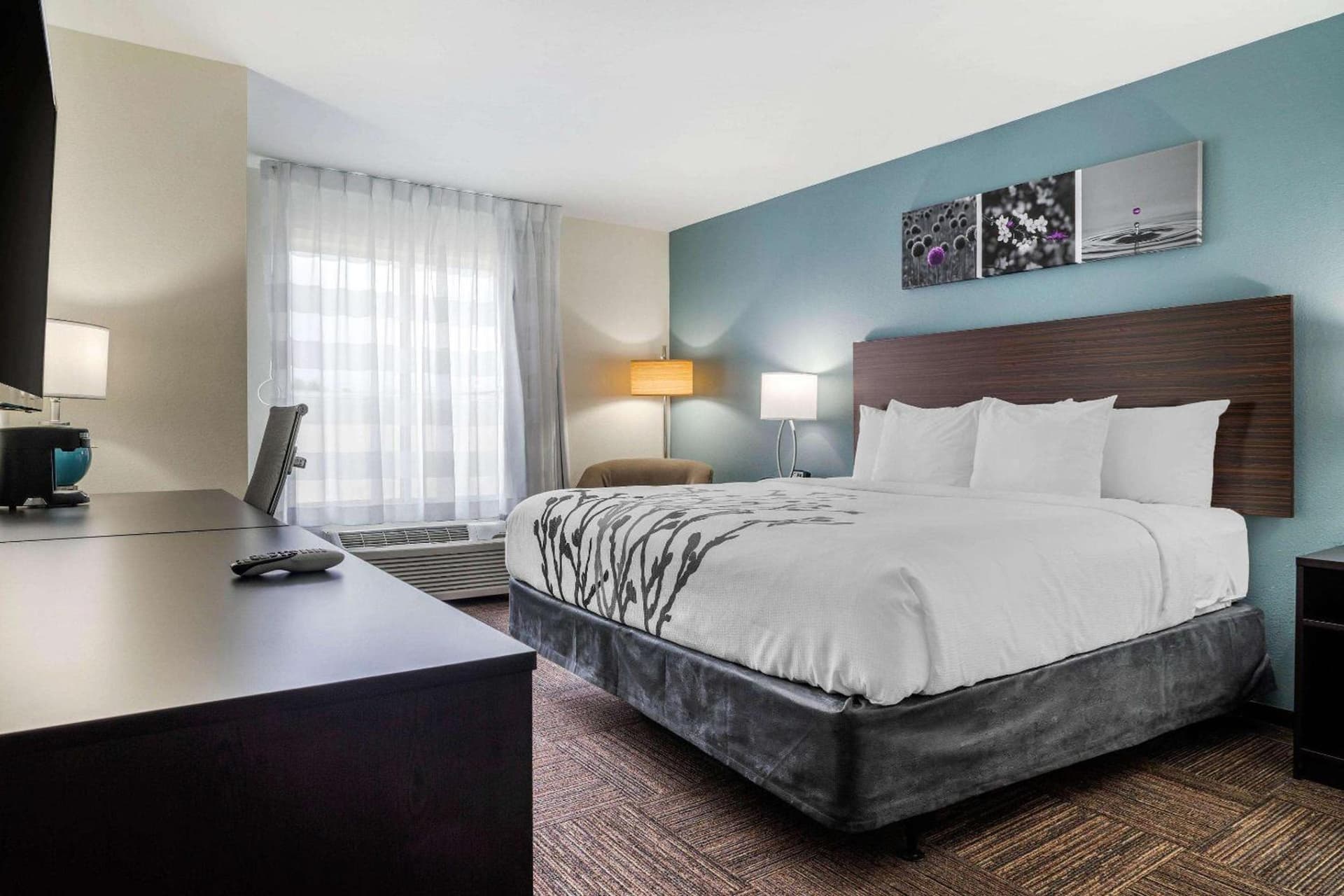 Sleep Inn & Suites near Westchase gallery photo in Houston, TX — image 7