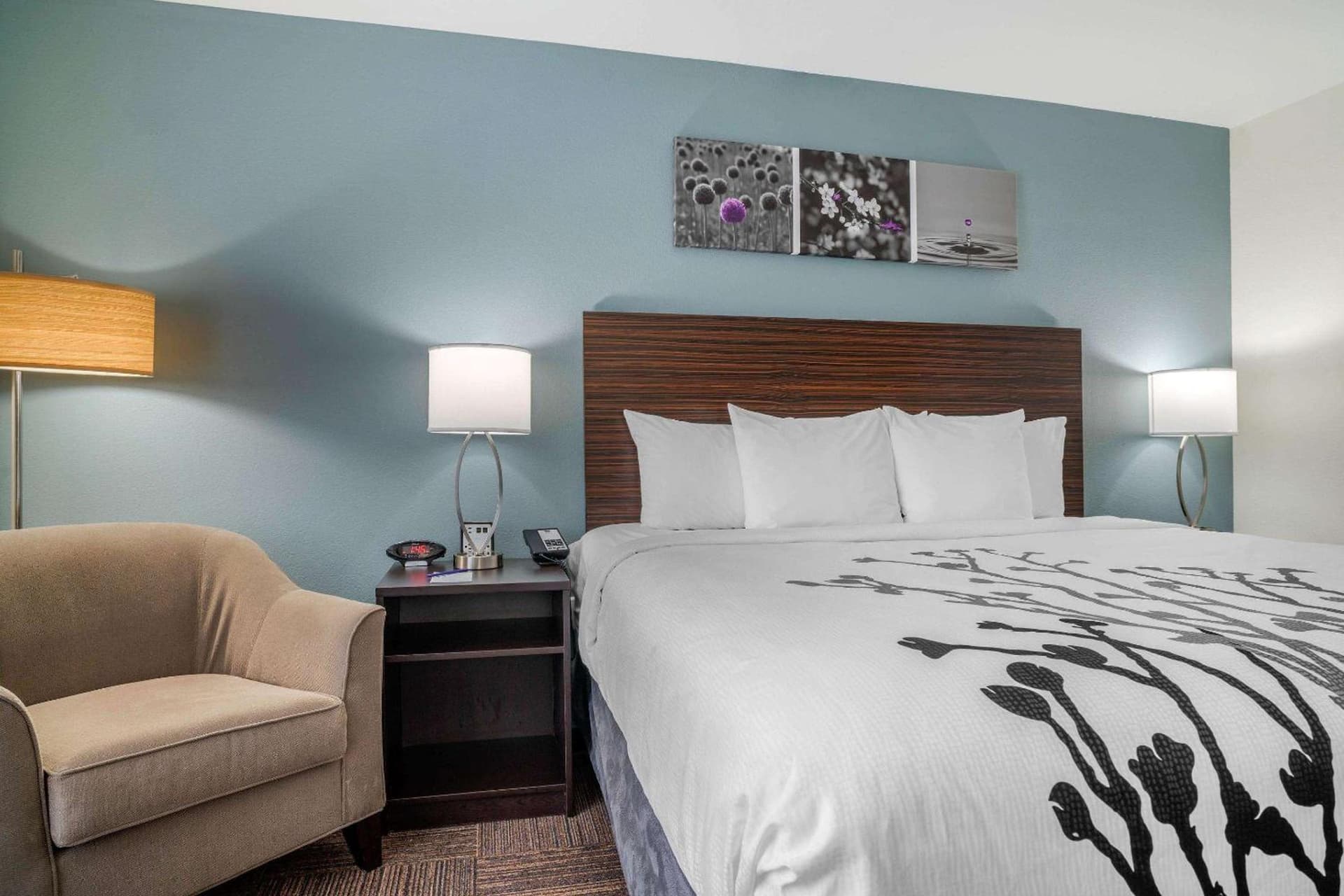 Sleep Inn & Suites near Westchase gallery photo in Houston, TX — image 27