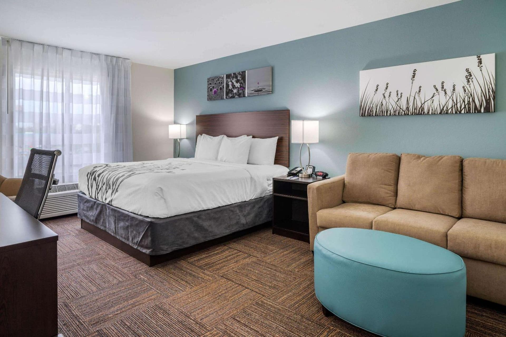 Sleep Inn & Suites near Westchase gallery photo in Houston, TX — image 8
