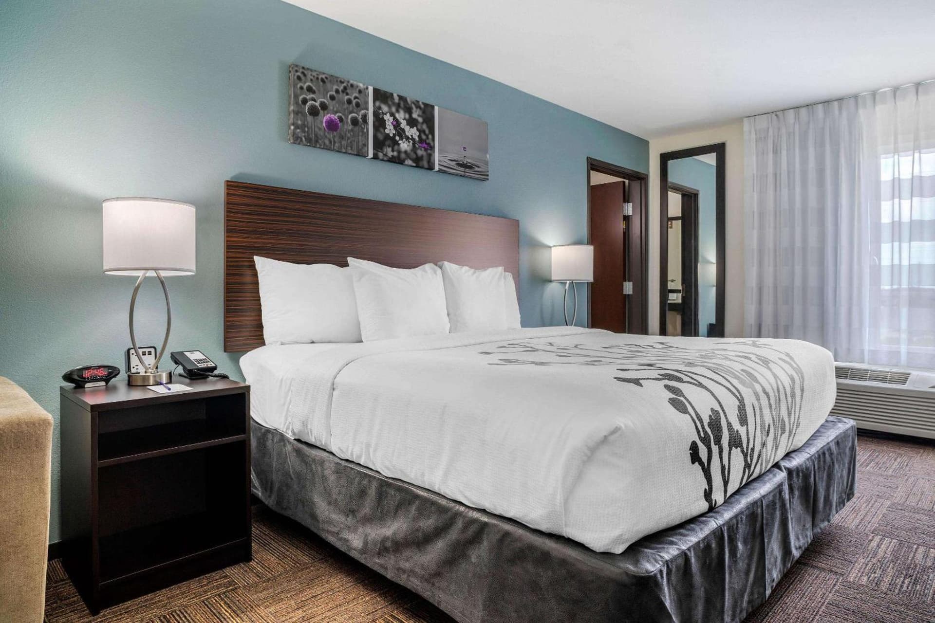 Sleep Inn & Suites near Westchase gallery photo in Houston, TX — image 29