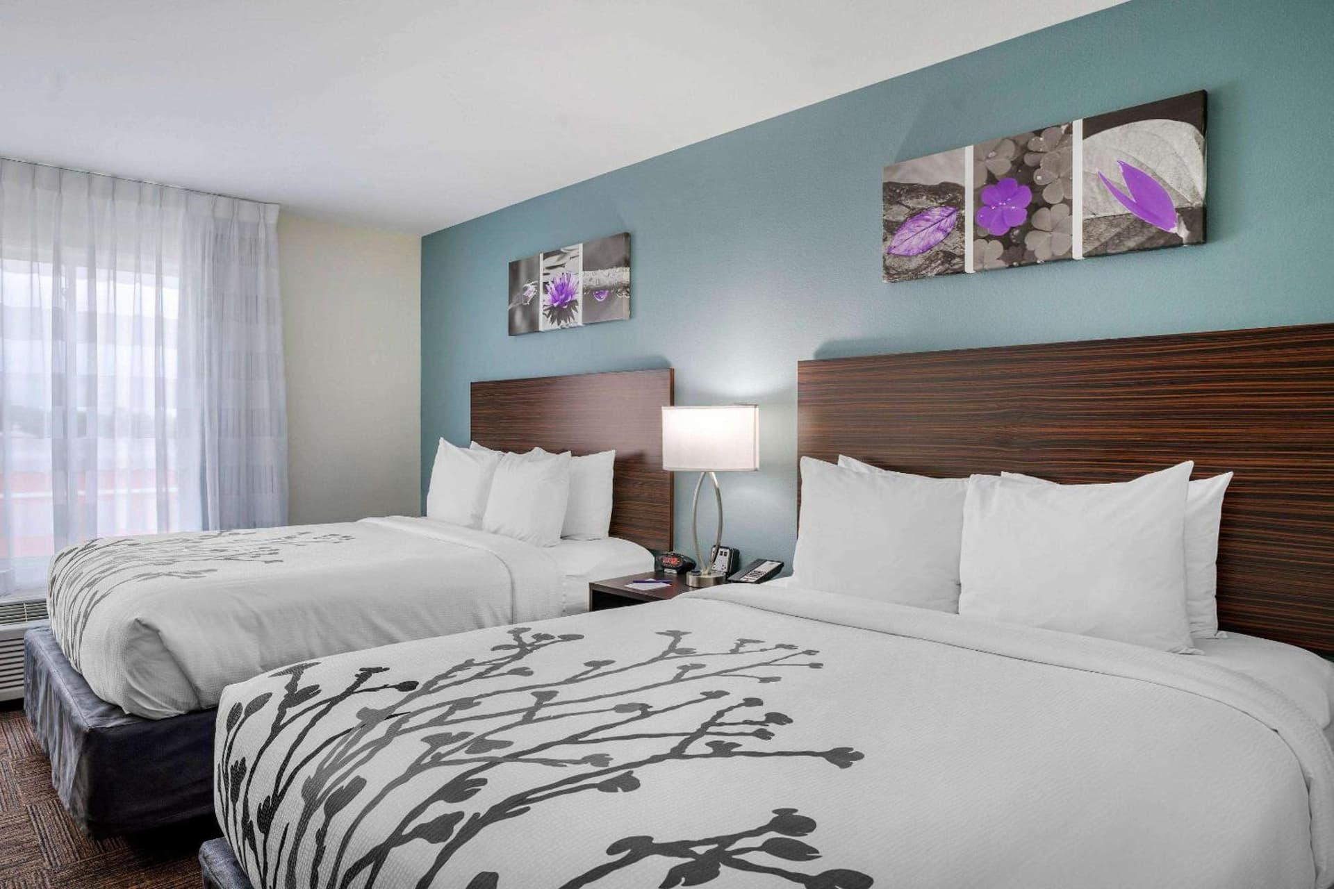 Sleep Inn & Suites near Westchase gallery photo in Houston, TX — image 6