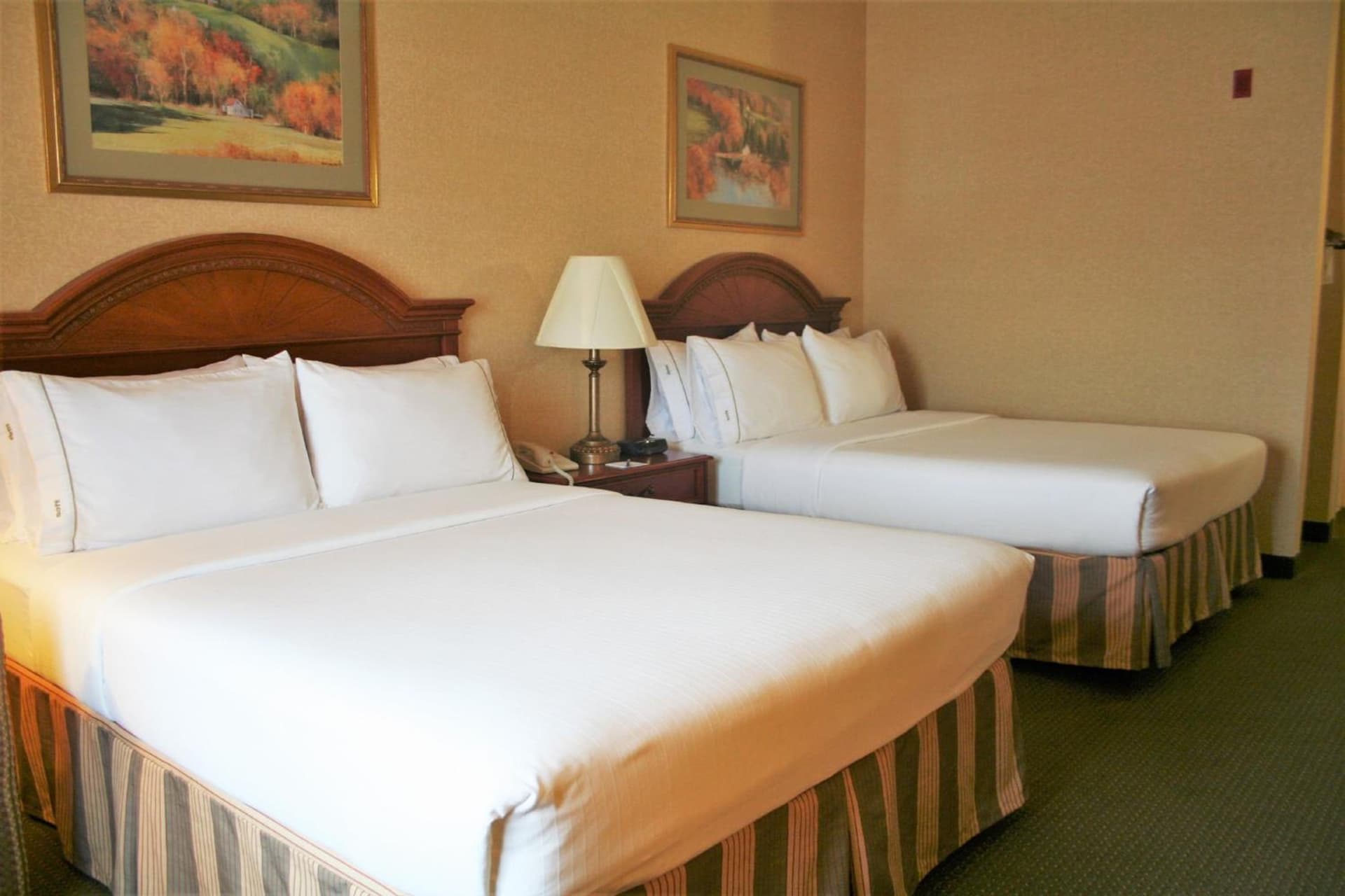 Holiday Inn Express Hotel & Suites Drums-Hazelton by IHG gallery photo in Drums, PA — image 27