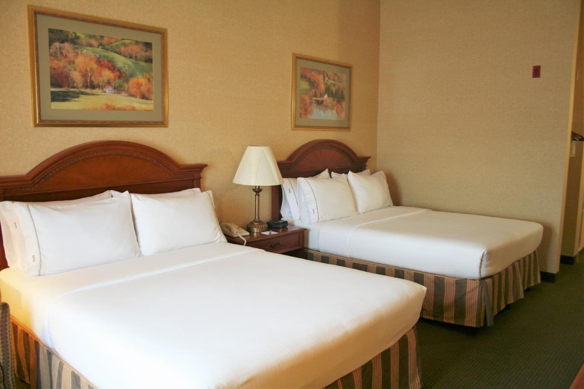 Holiday Inn Express Hotel & Suites Drums-Hazelton by IHG gallery photo in Drums, PA — image 34