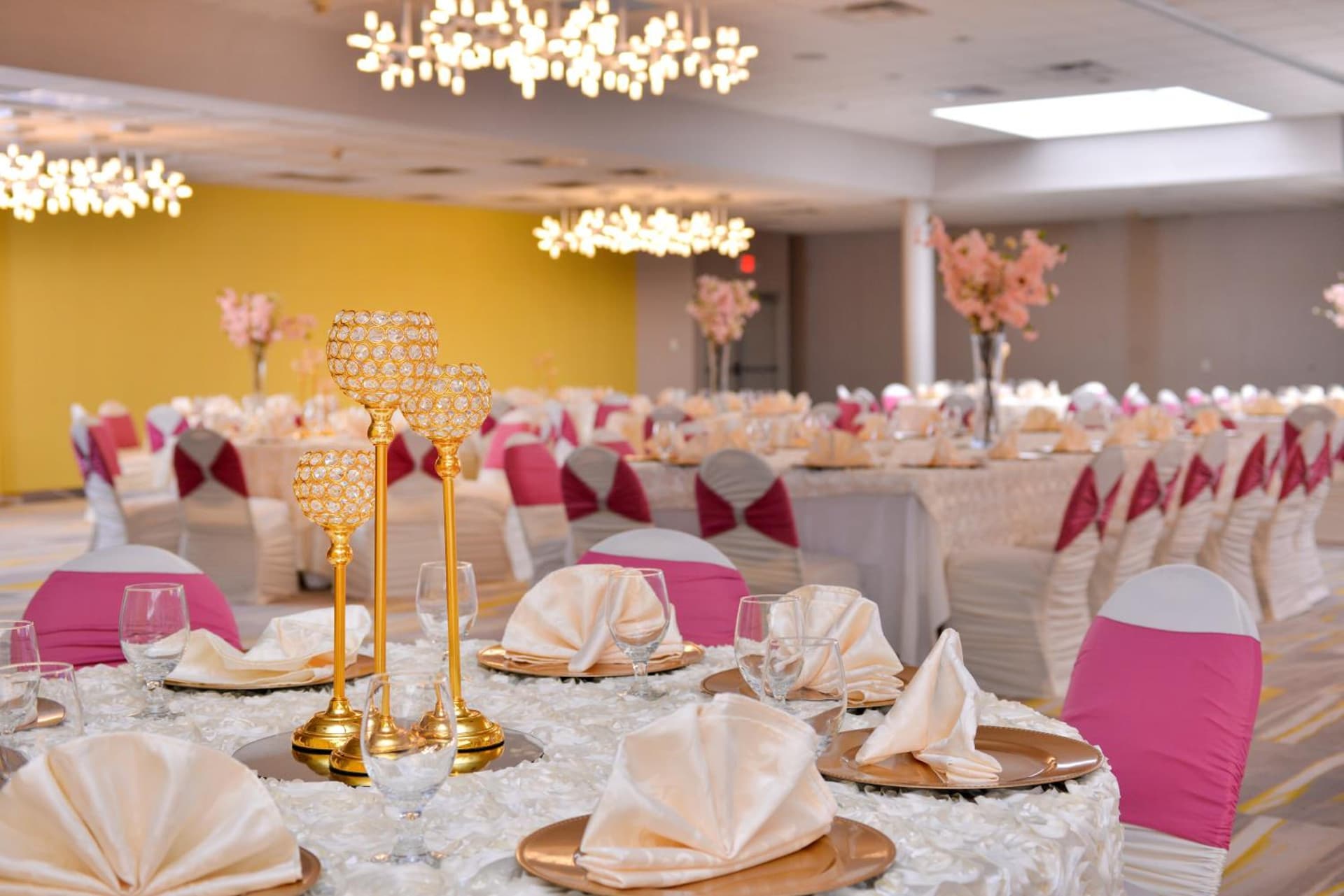 Holiday Inn Dallas-Richardson by IHG gallery photo in Richardson, TX — image 56