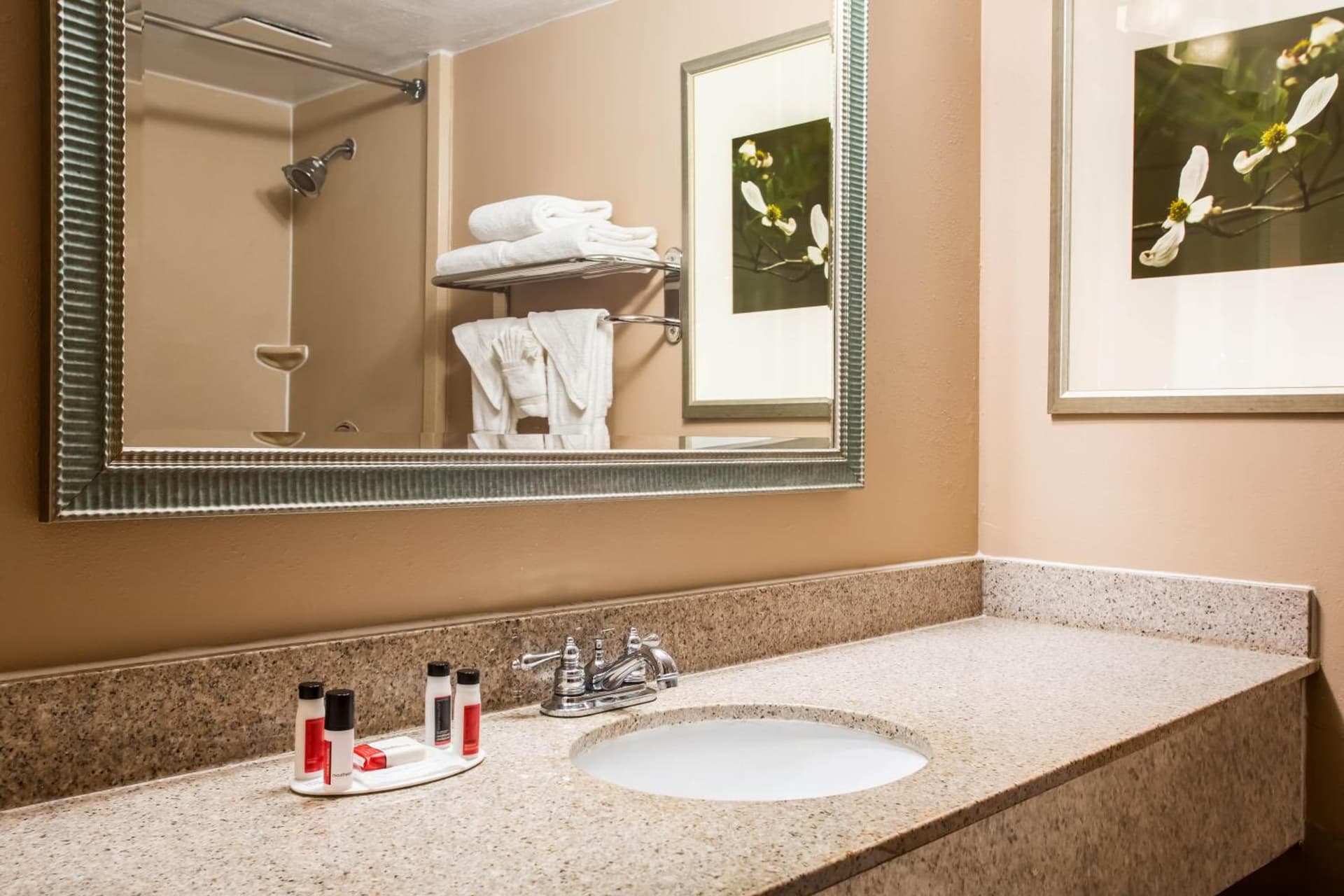 Sonesta Select Hotels Statesville gallery photo in Statesville, NC — image 4