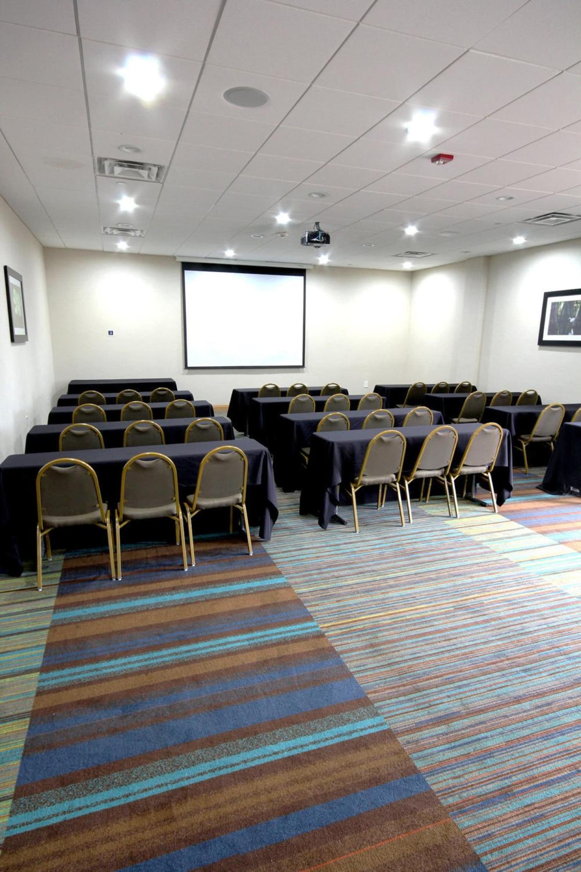 Holiday Inn Houma by IHG gallery photo in Houma, LA — image 10