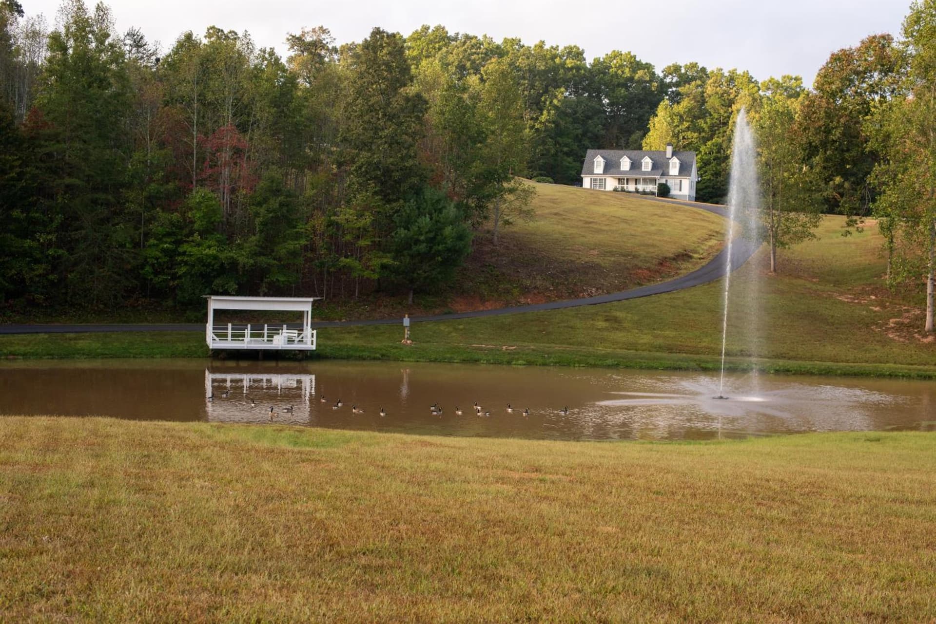 Dahlonega Resort and Vineyard gallery photo in Dahlonega, GA — image 53