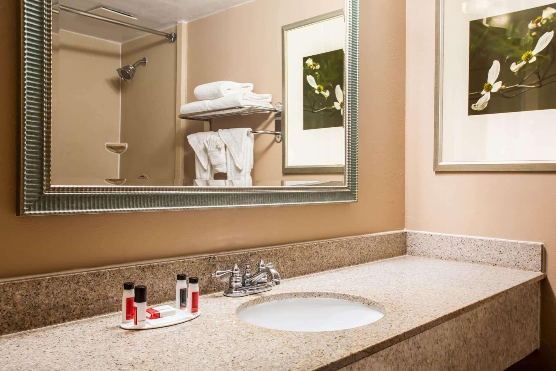 Sonesta Select Hotels Statesville gallery photo in Statesville, NC — image 15