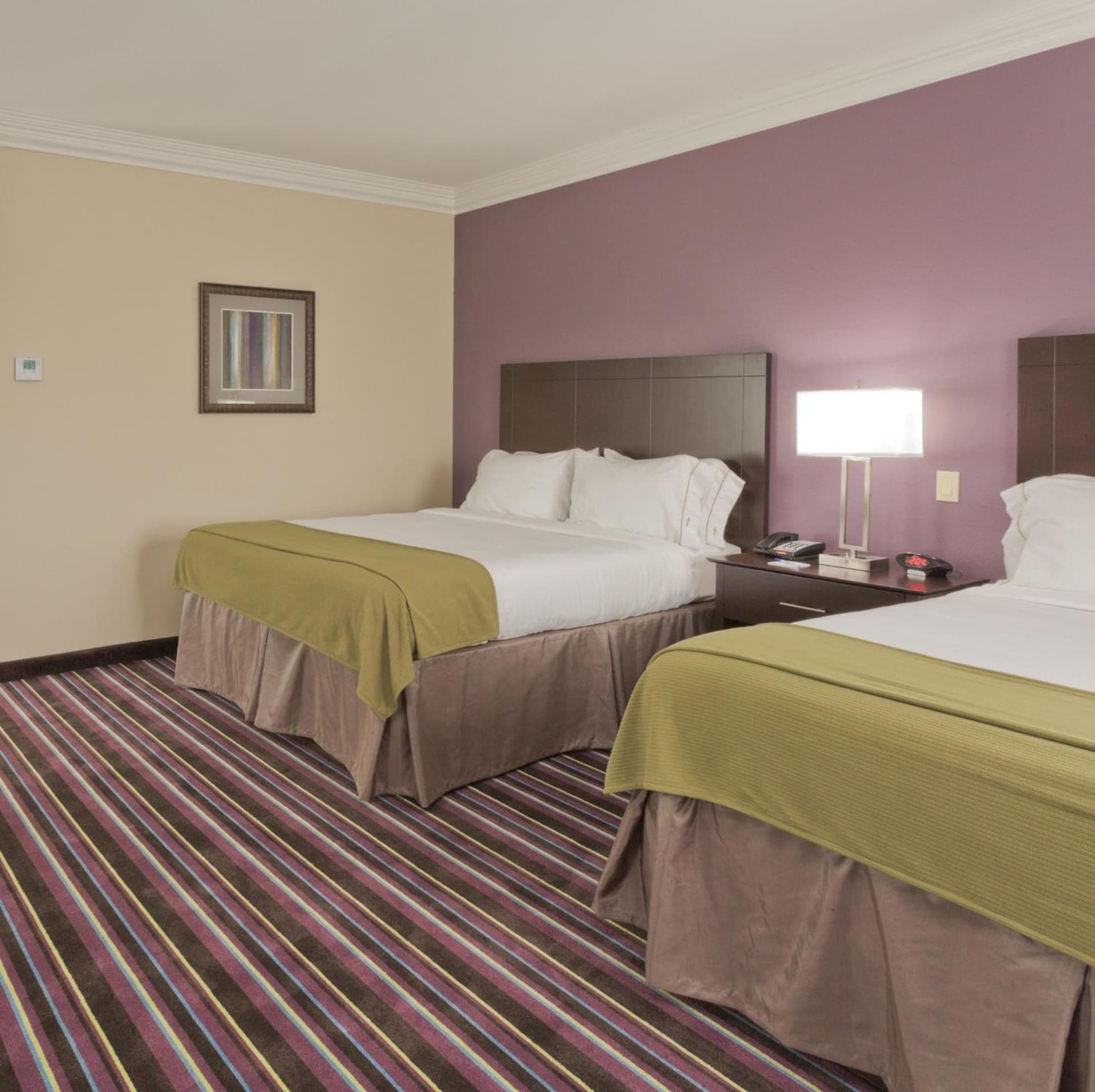 Holiday Inn Express & Suites Raceland - Highway 90 by IHG gallery photo in Raceland, LA — image 27