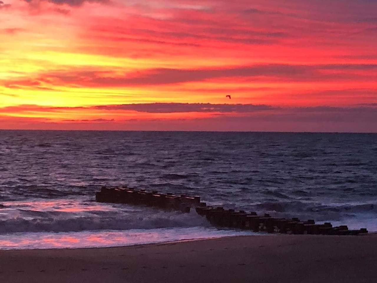 Boardwalk Plaza Hotel gallery photo in Rehoboth Beach, DE — image 15
