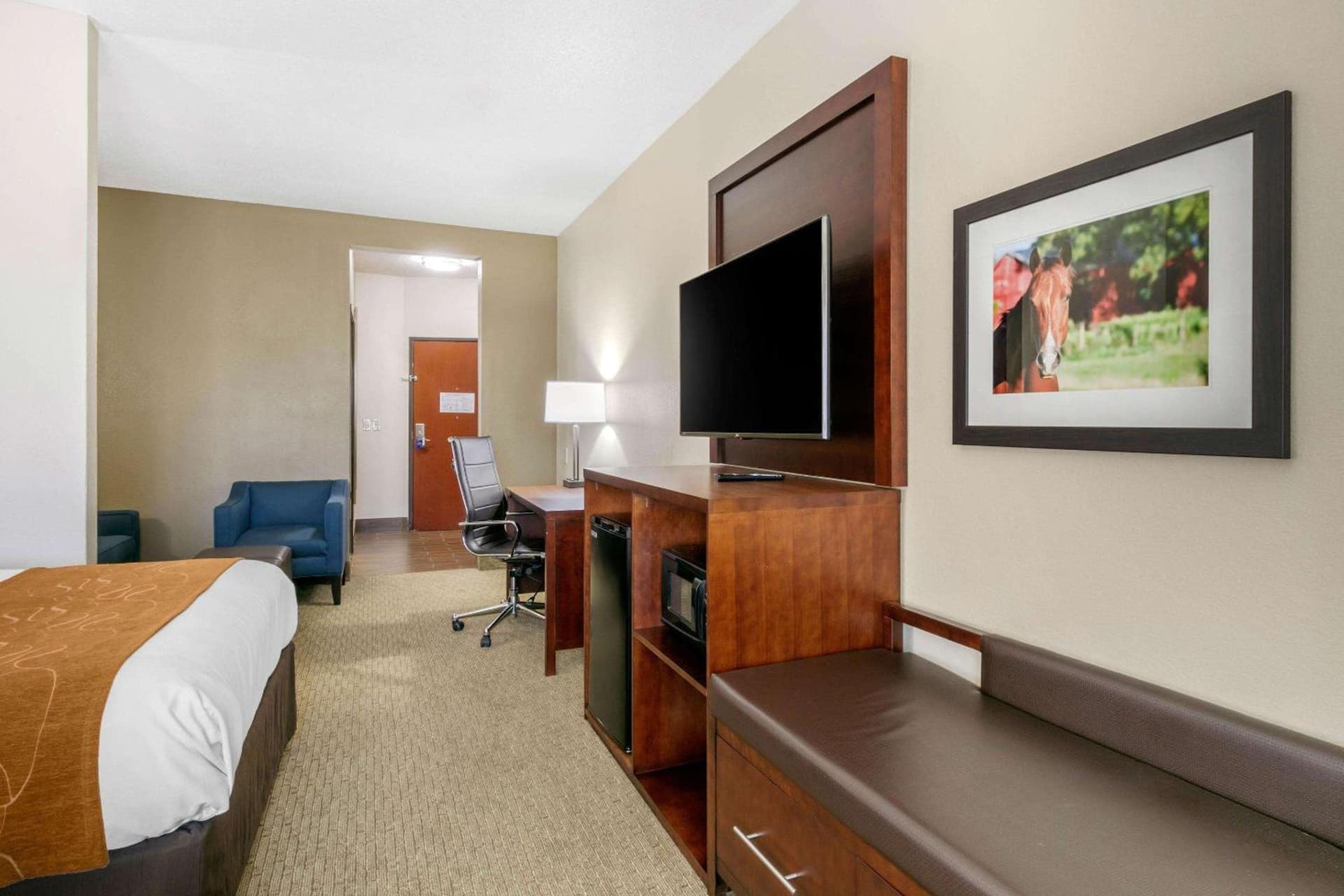 Comfort Suites Hopkinsville near Fort Campbell gallery photo in Hopkinsville, KY — image 9