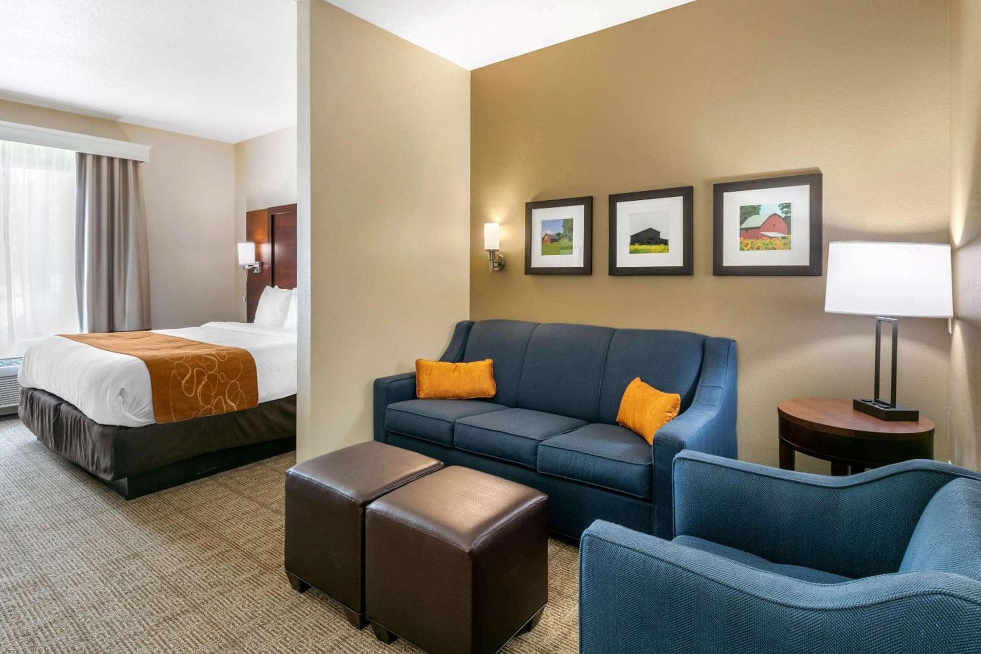 Comfort Suites Hopkinsville near Fort Campbell gallery photo in Hopkinsville, KY — image 11