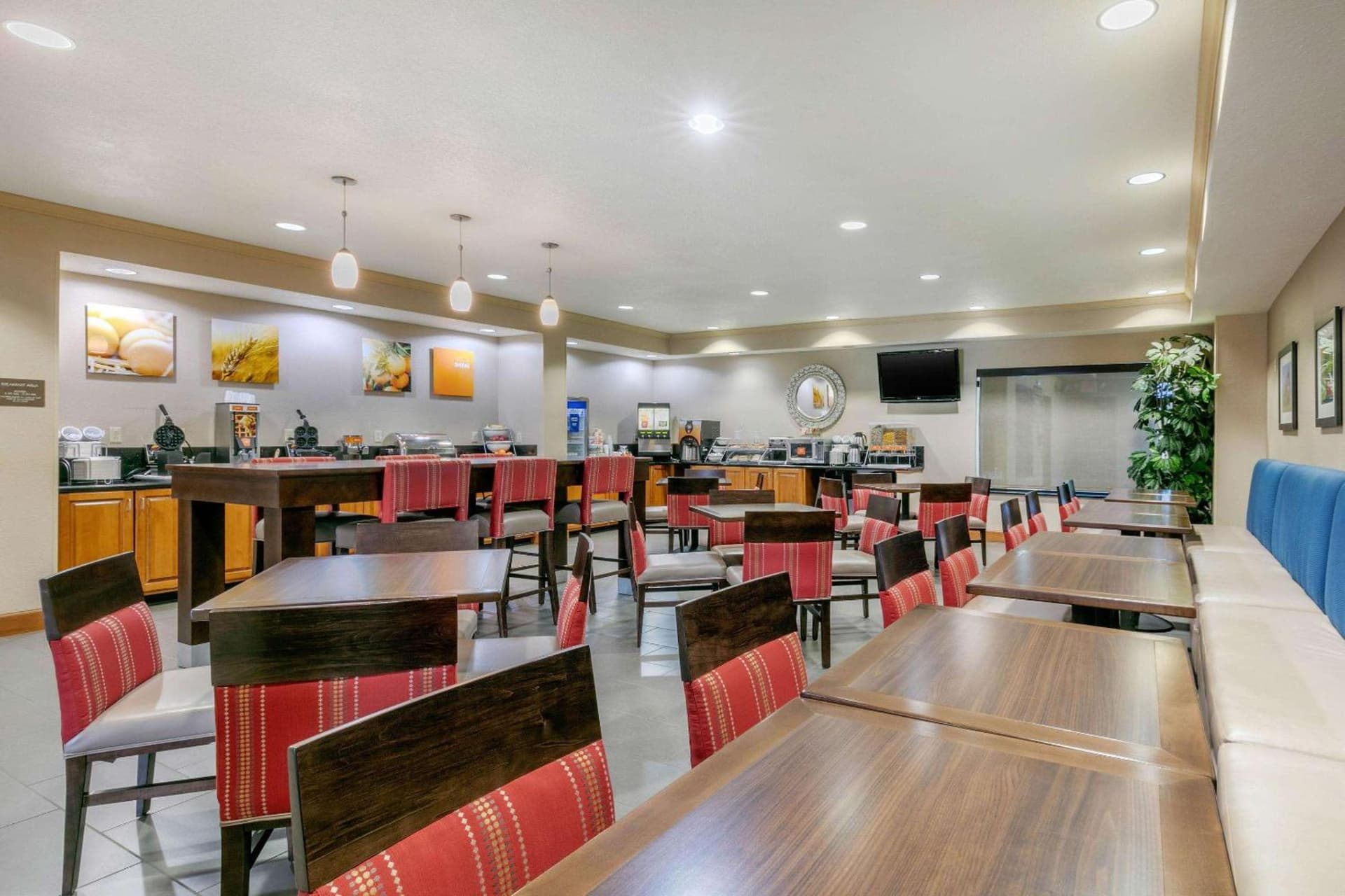 Comfort Suites Hopkinsville near Fort Campbell gallery photo in Hopkinsville, KY — image 15