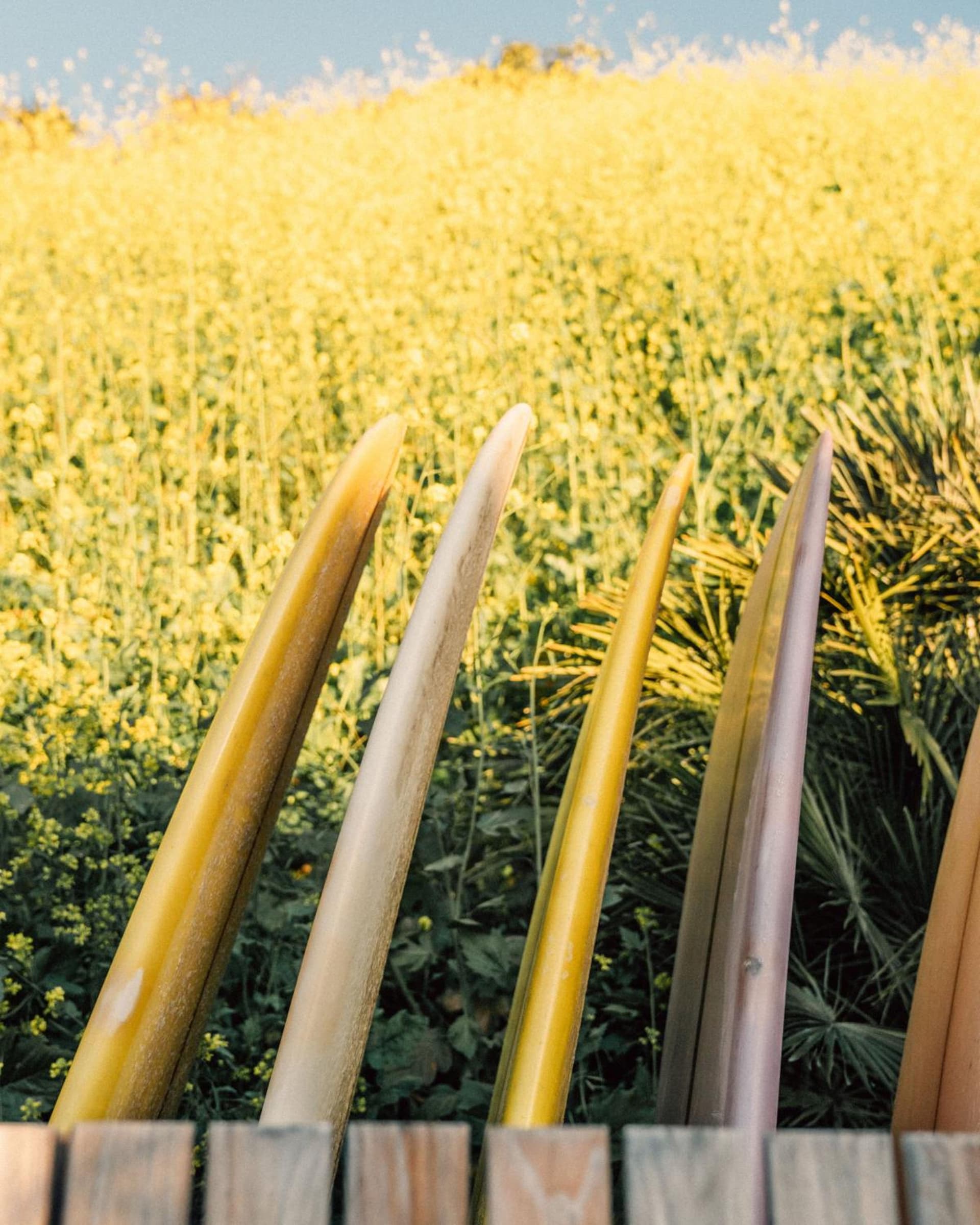 The Surfrider Malibu gallery photo in Malibu, CA — image 5