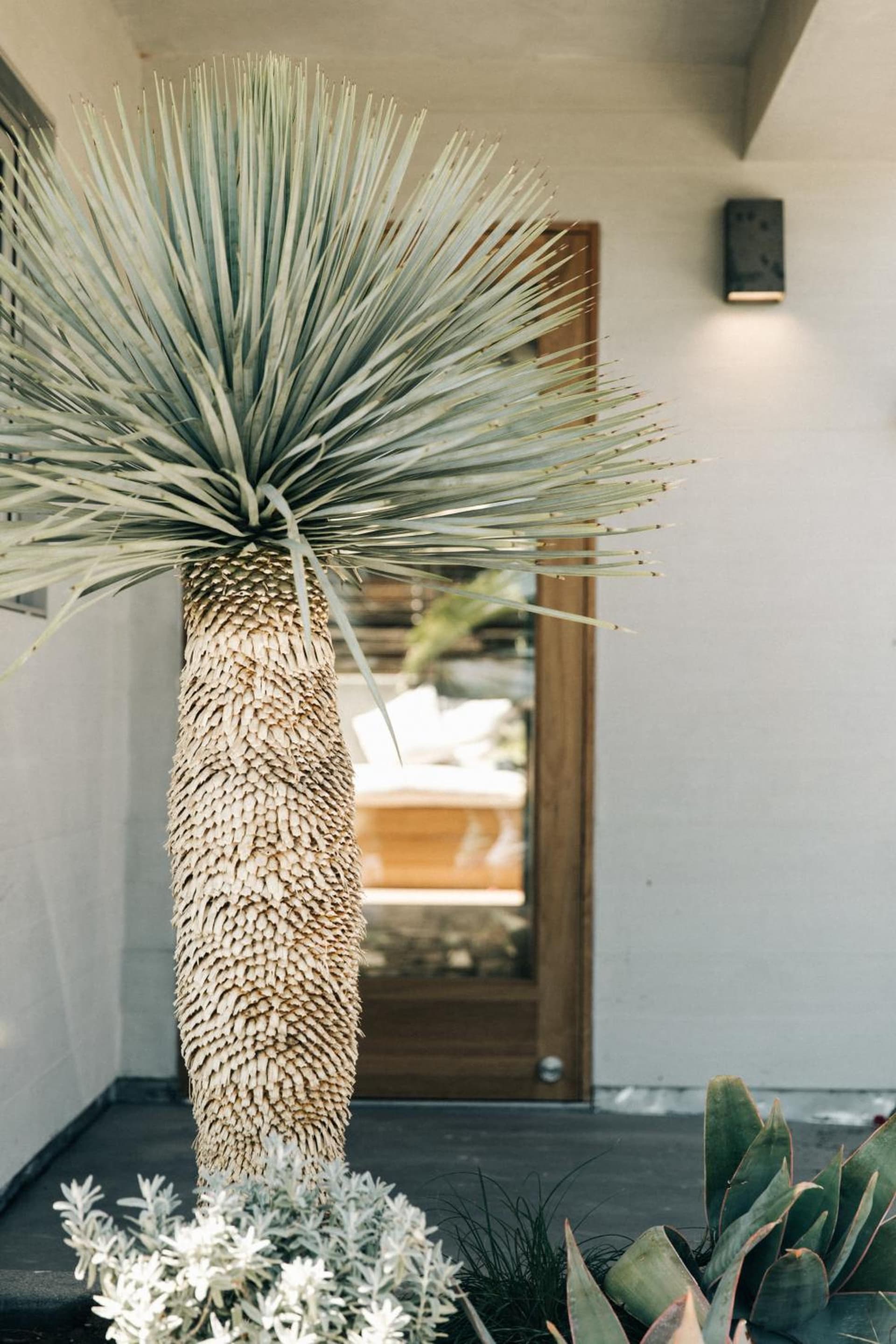 The Surfrider Malibu interior in Malibu, CA — gallery photo 2