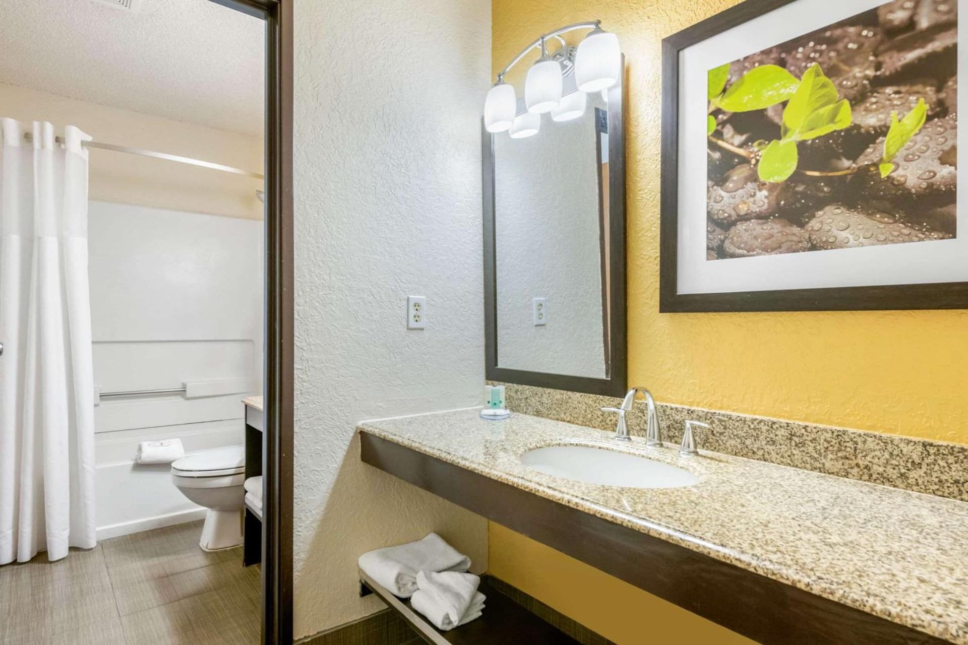 Quality Inn & Suites Leesburg Chain of Lakes gallery photo in Leesburg, FL — image 38