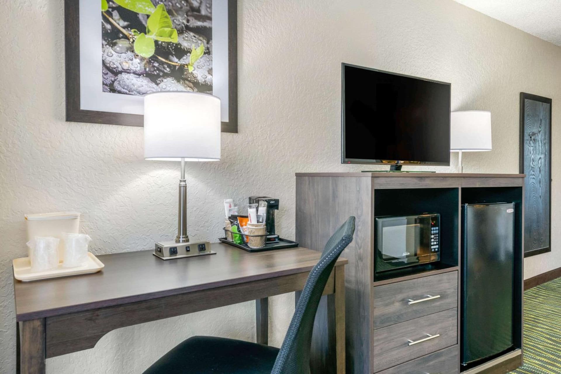 Quality Inn & Suites Leesburg Chain of Lakes gallery photo in Leesburg, FL — image 36