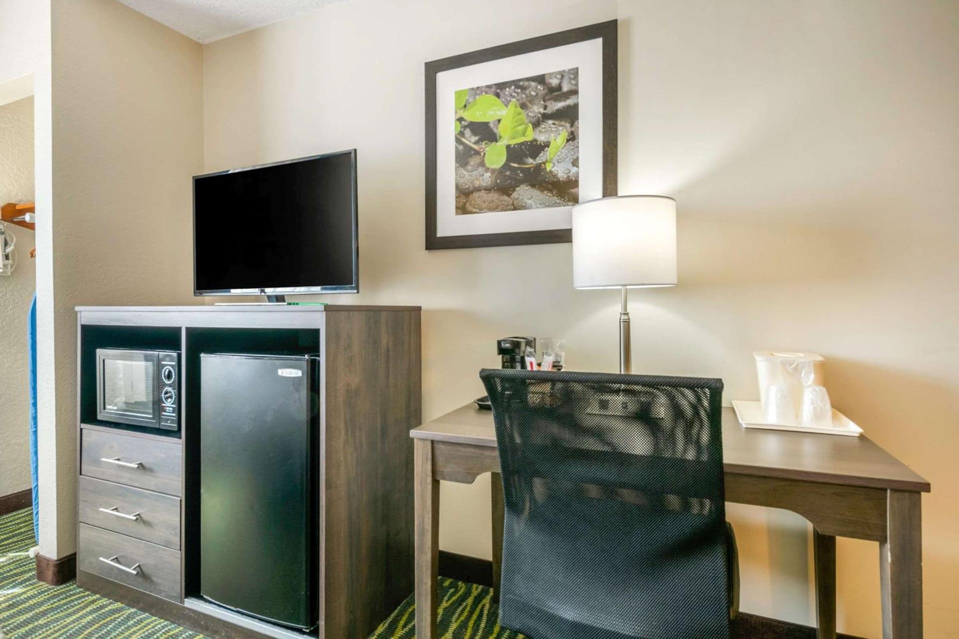 Quality Inn & Suites Leesburg Chain of Lakes gallery photo in Leesburg, FL — image 23