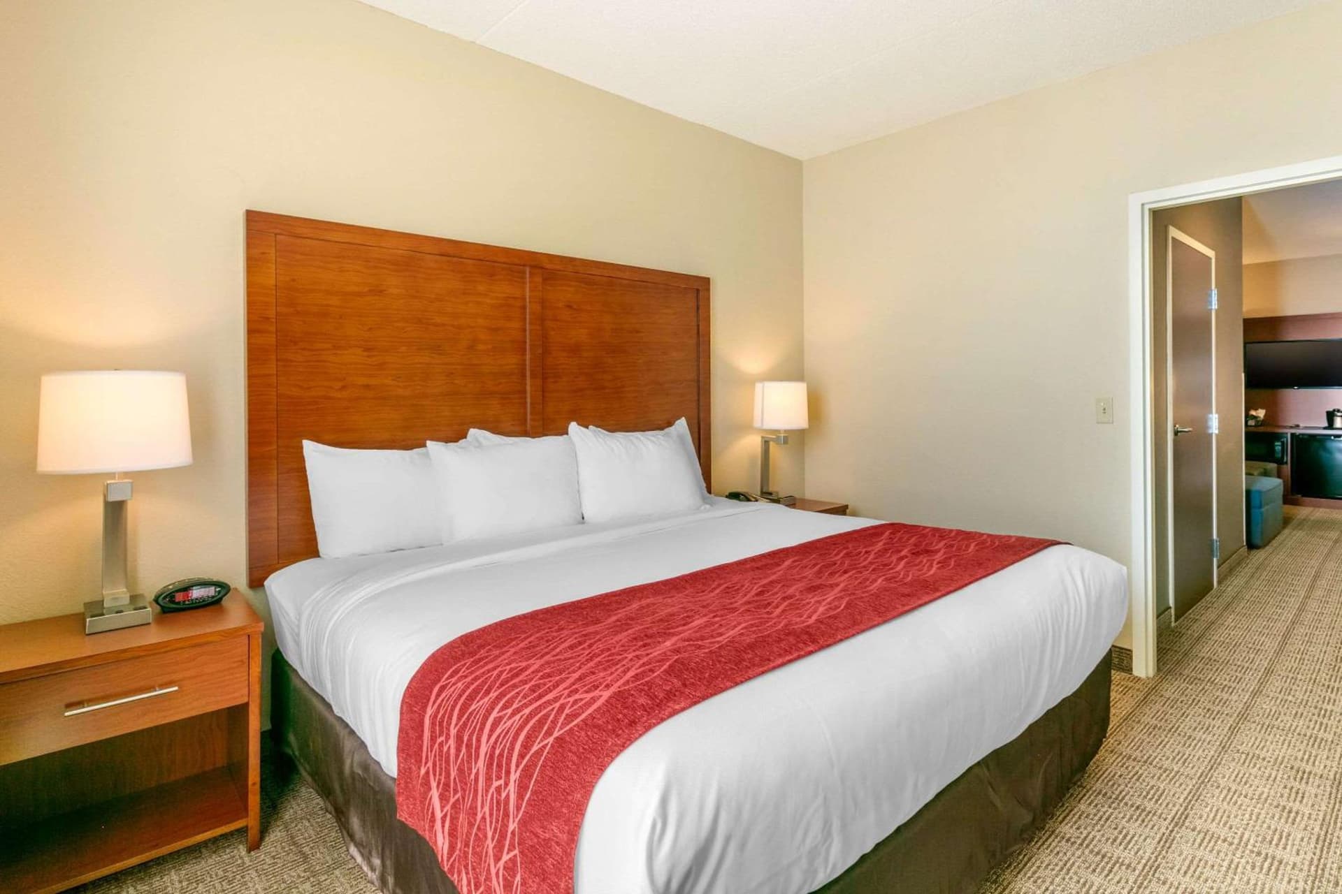 Comfort Inn & Suites Nashville Franklin Cool Springs gallery photo in Franklin, TN — image 4