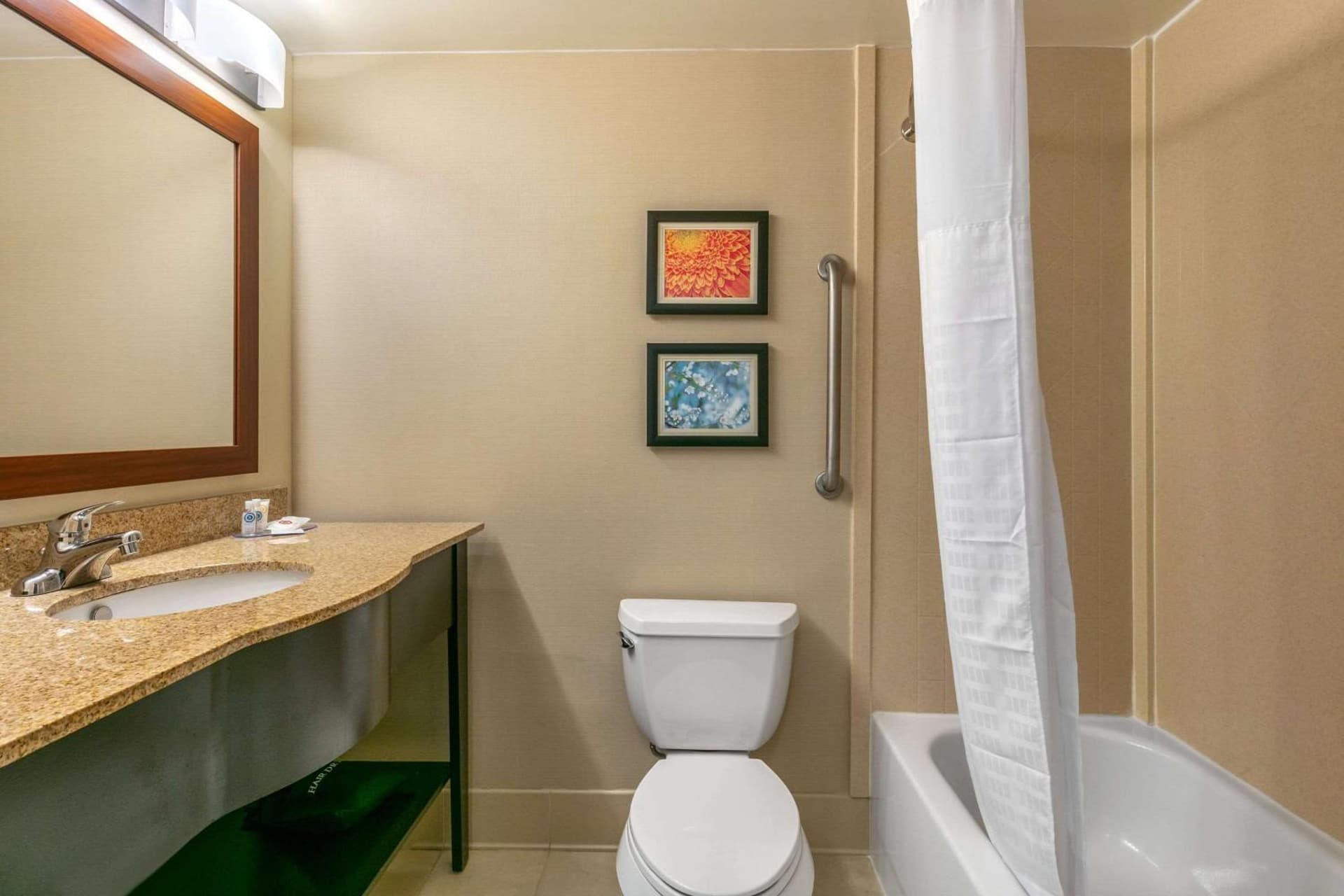 Comfort Inn & Suites Nashville Franklin Cool Springs gallery photo in Franklin, TN — image 11