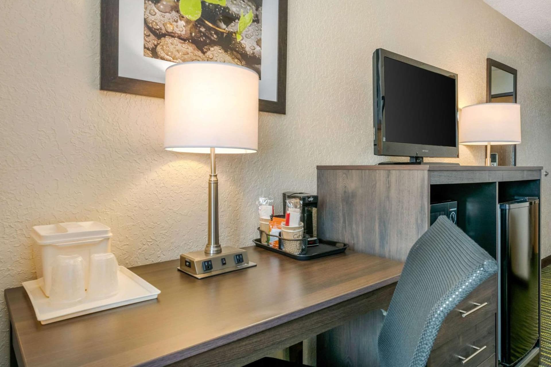 Quality Inn & Suites Leesburg Chain of Lakes gallery photo in Leesburg, FL — image 39
