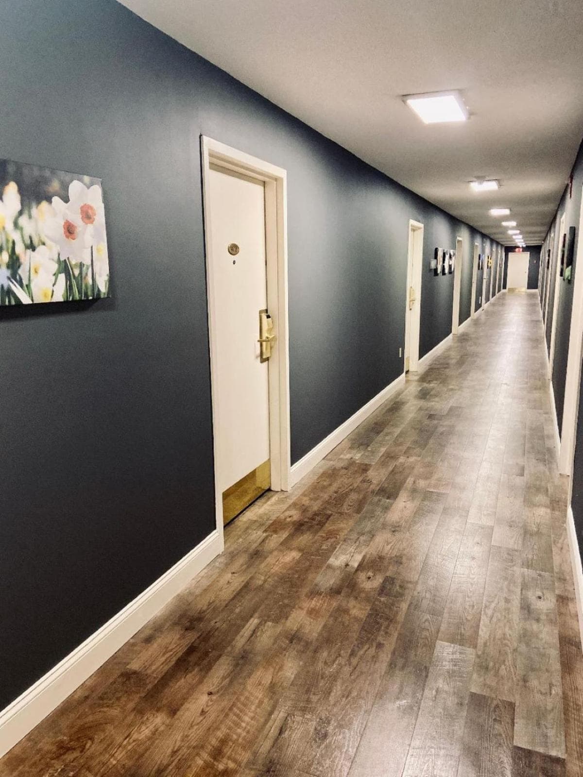 University Inn Duke property views in Durham, NC — gallery photo 3