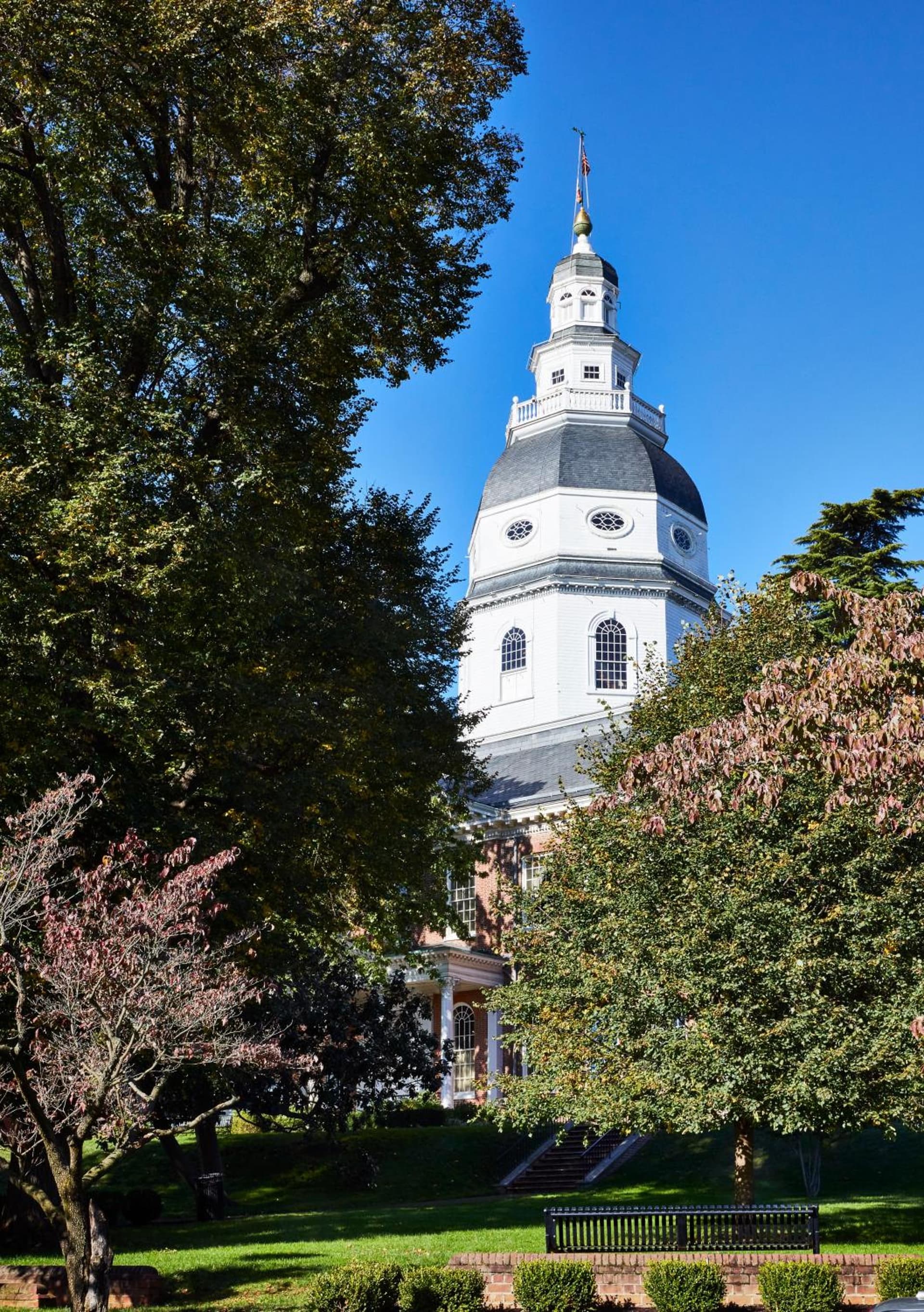 Graduate by Hilton Annapolis gallery photo in Annapolis, MD — image 59