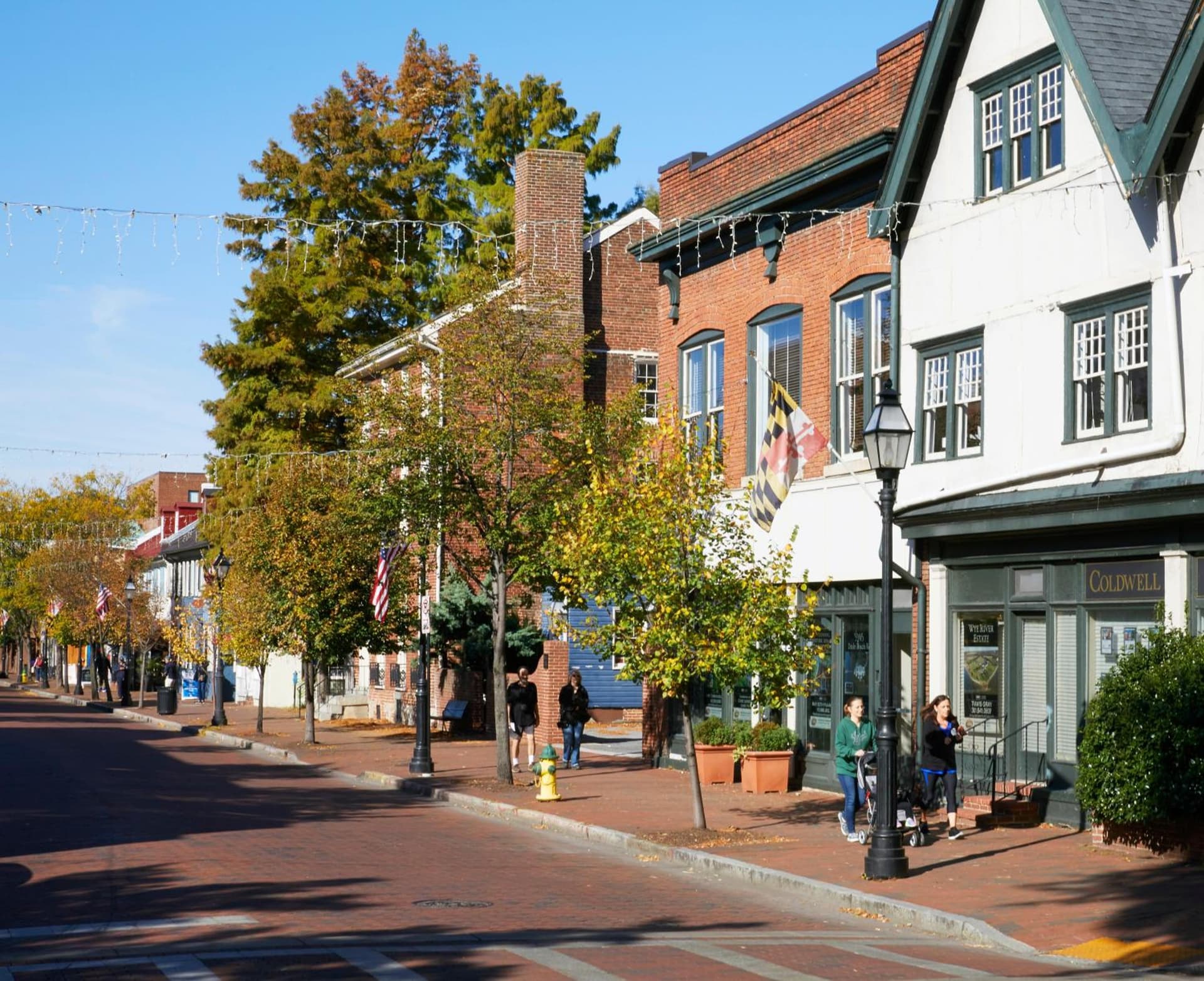 Graduate by Hilton Annapolis gallery photo in Annapolis, MD — image 65
