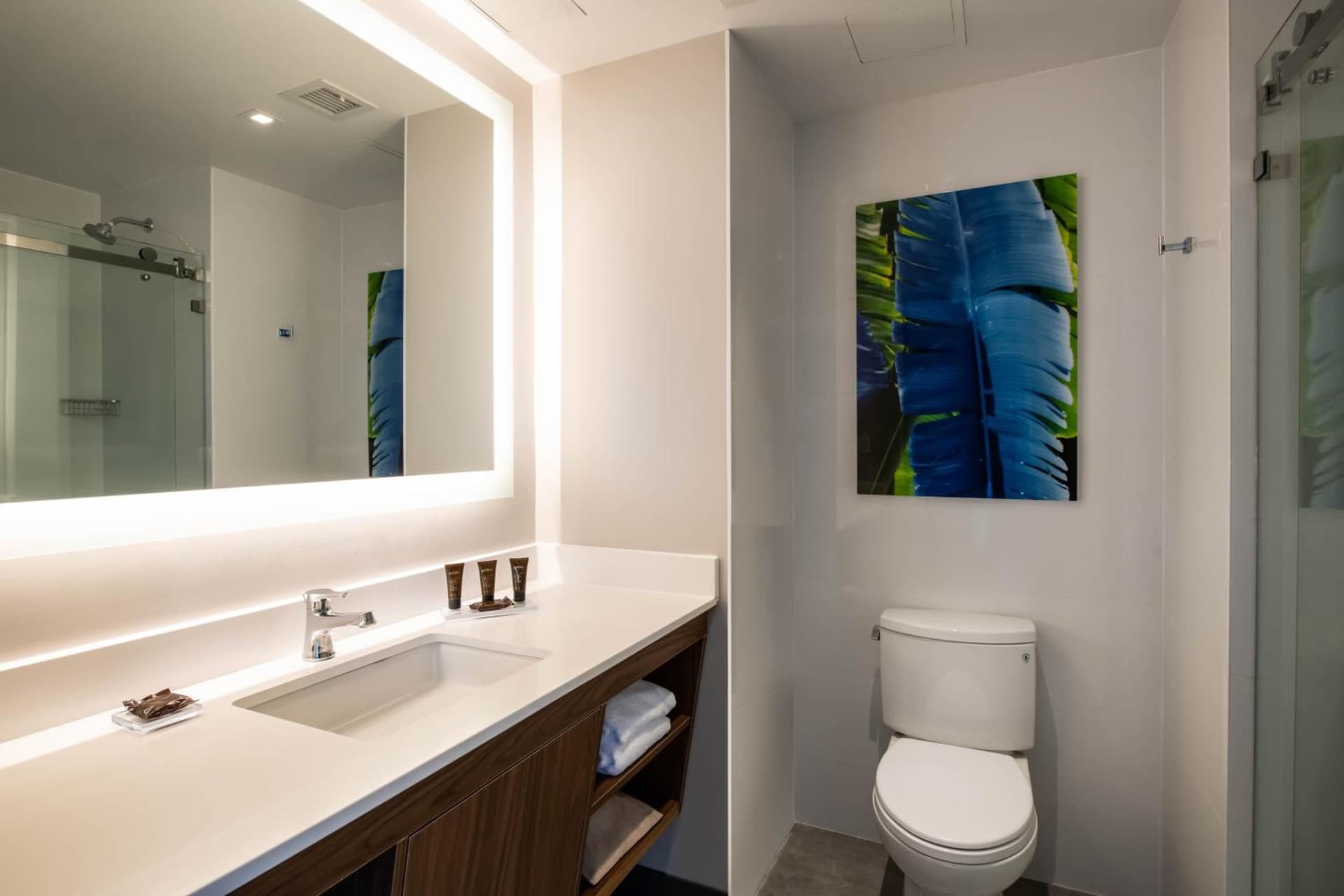 Wingate by Wyndham Long Island City gallery photo in Queens, NY — image 51