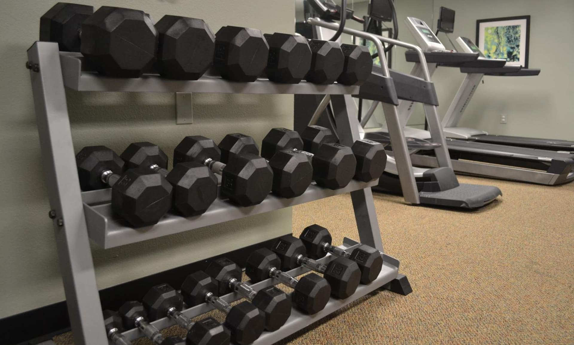 Staybridge Suites Peoria Downtown by IHG gallery photo in Peoria, IL — image 10