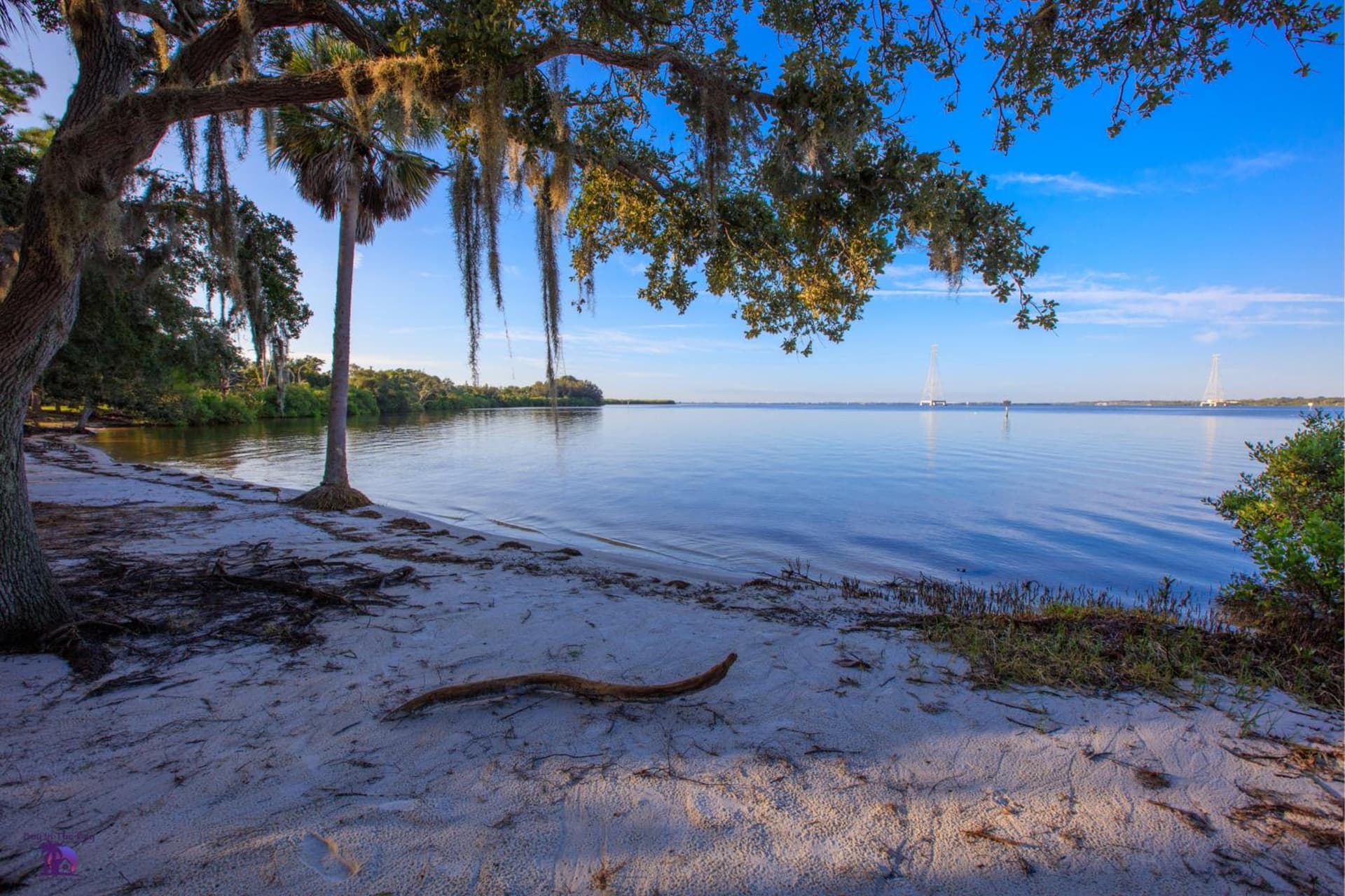 Holiday Inn Express Hotel & Suites Tampa-Oldsmar by IHG gallery photo in Oldsmar, FL — image 79