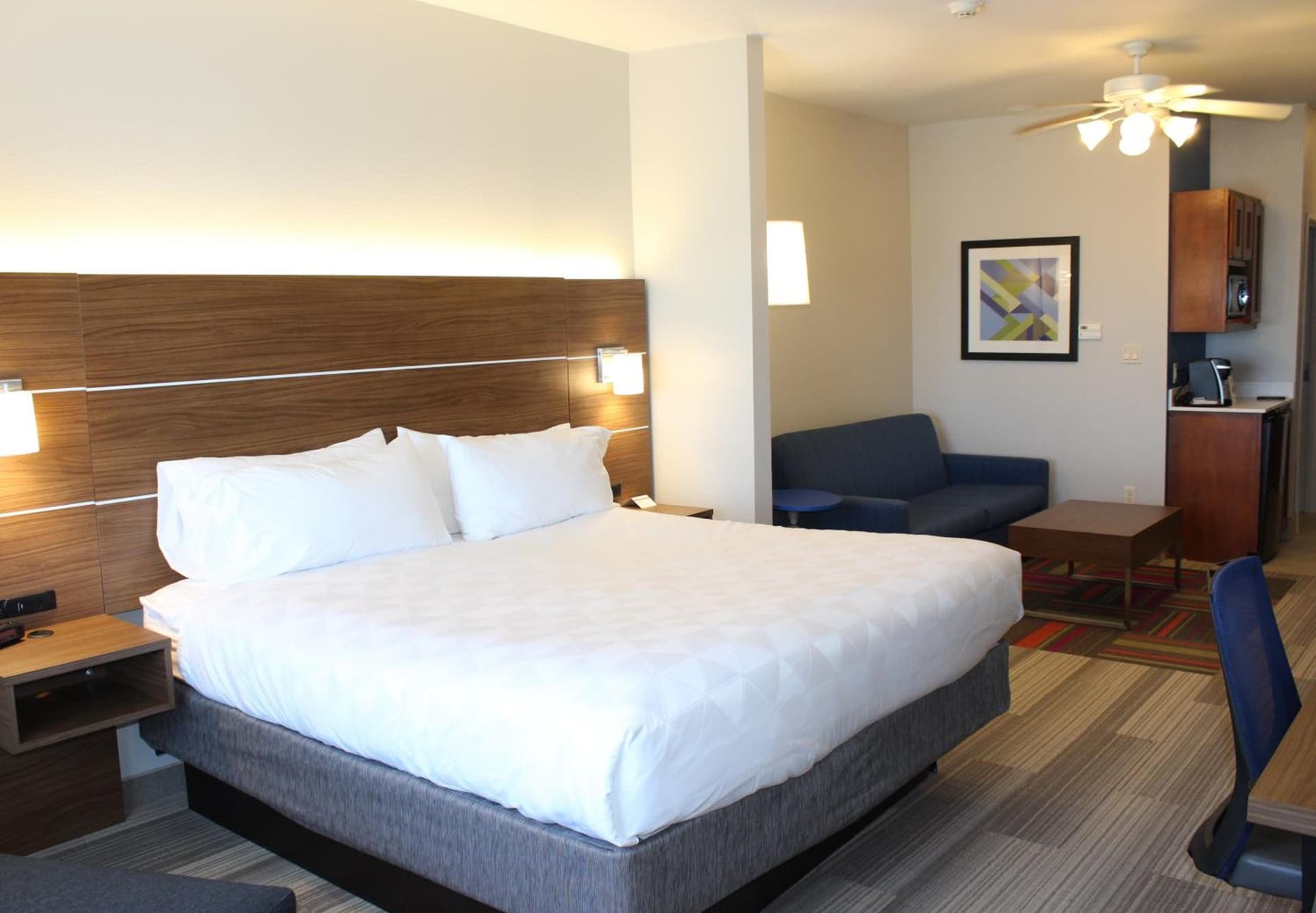 Holiday Inn Express Hotel & Suites Mansfield by IHG gallery photo in Mansfield, TX — image 46