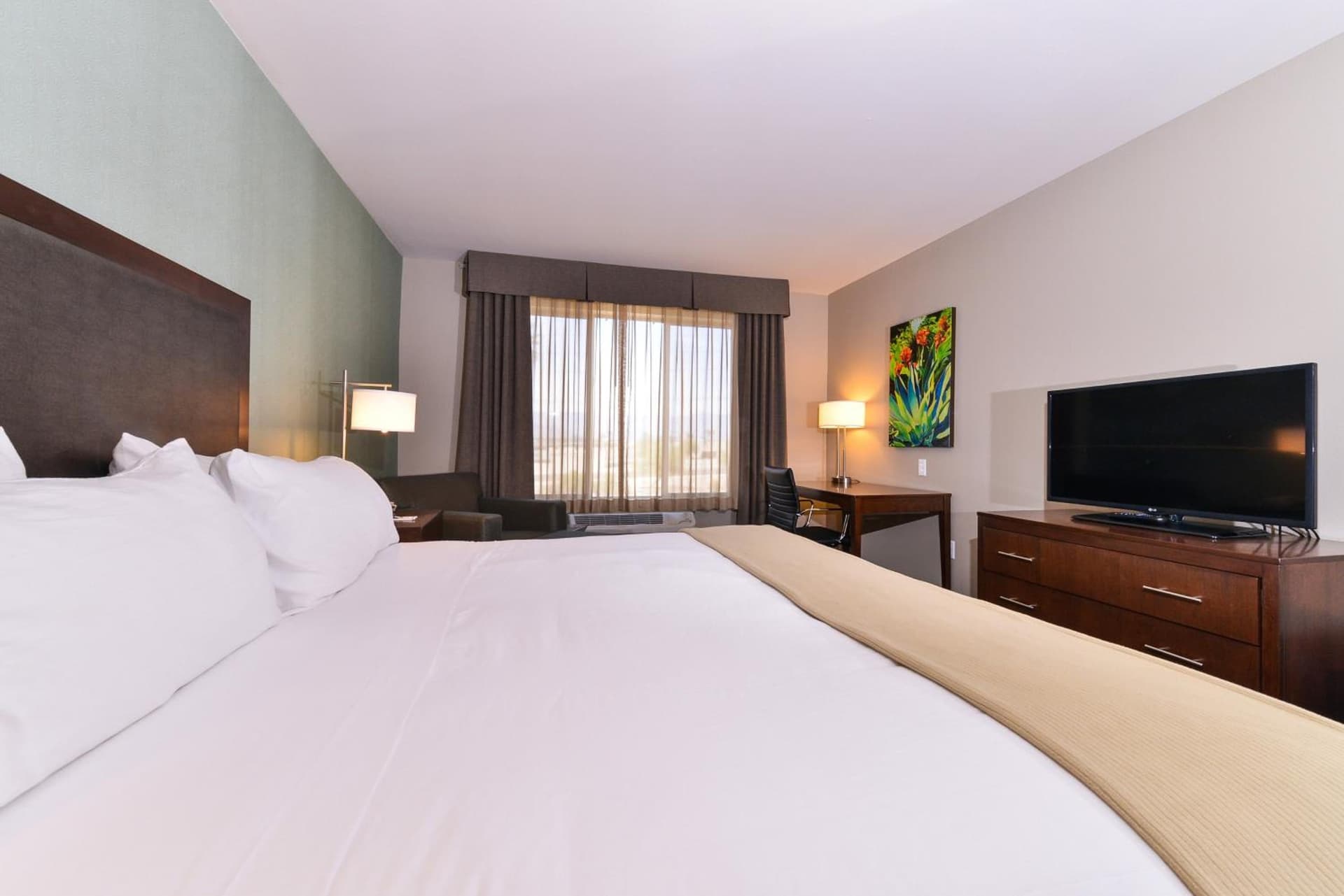 Holiday Inn Express & Suites Indio - Coachella Valley by IHG gallery photo in Indio, CA — image 66