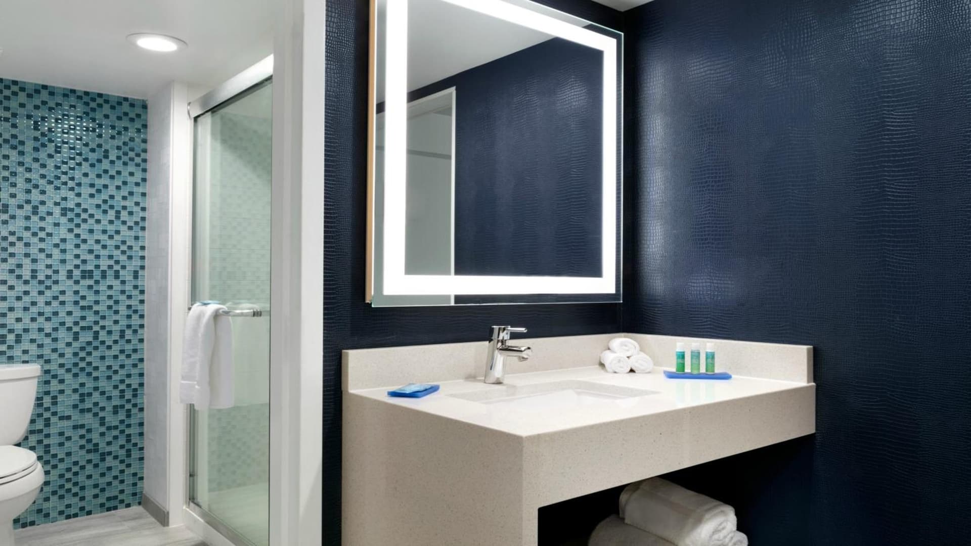 Holiday Inn Express - Williamsburg Busch Gardens Area by IHG gallery photo in Williamsburg, VA — image 37