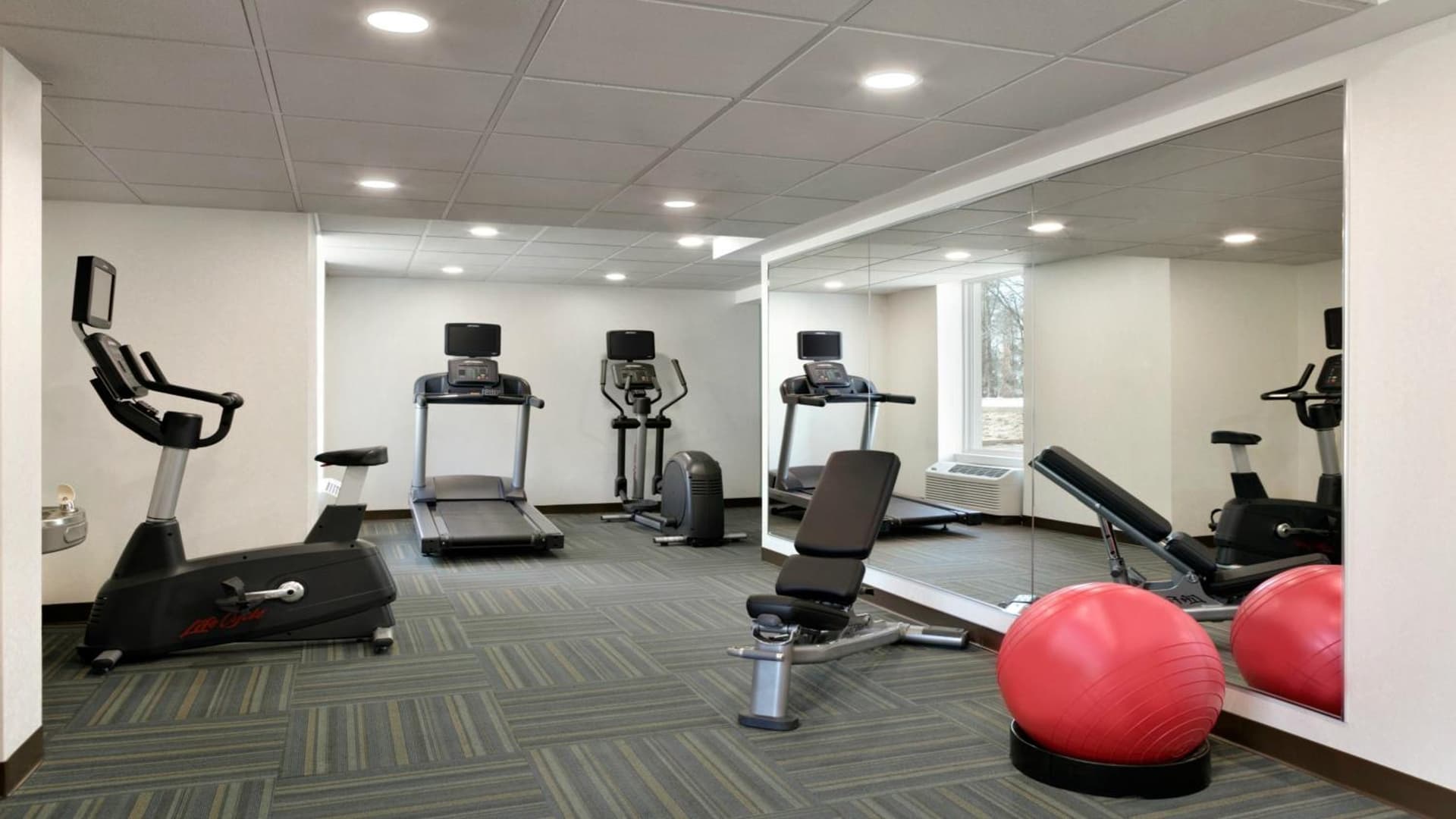 Holiday Inn Express - Williamsburg Busch Gardens Area by IHG gallery photo in Williamsburg, VA — image 34